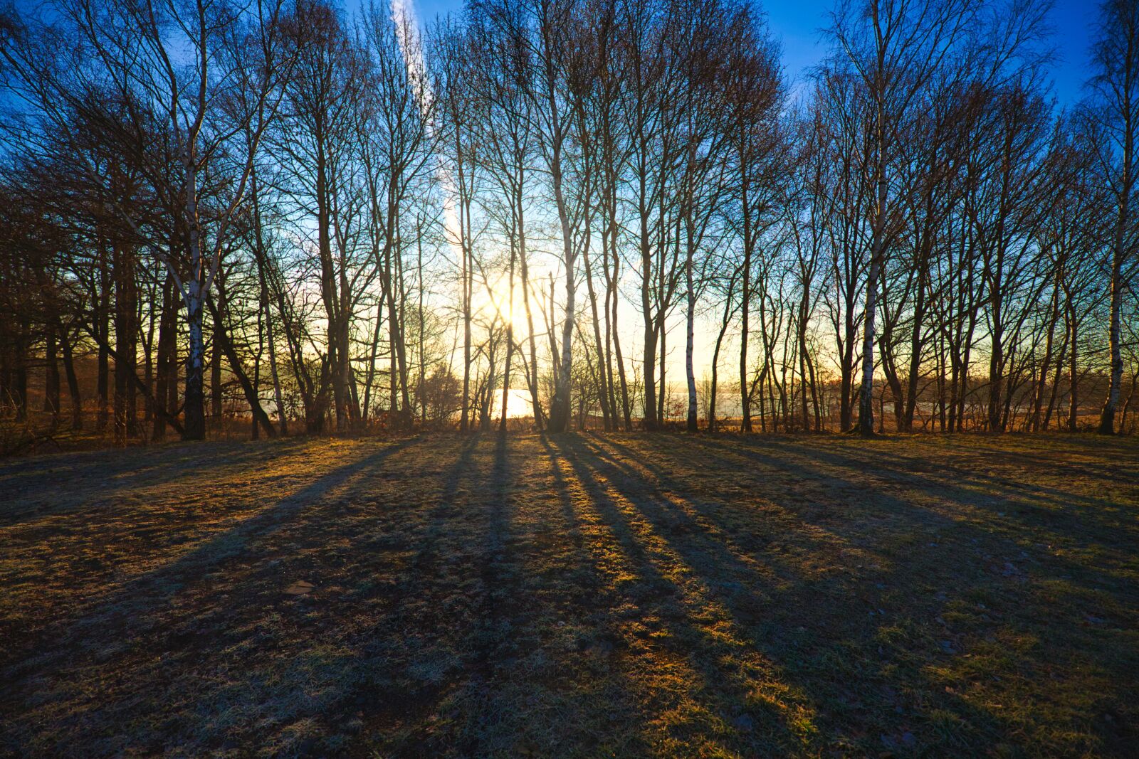 Canon EOS 5D sample photo. Sunrise, trees, fields photography