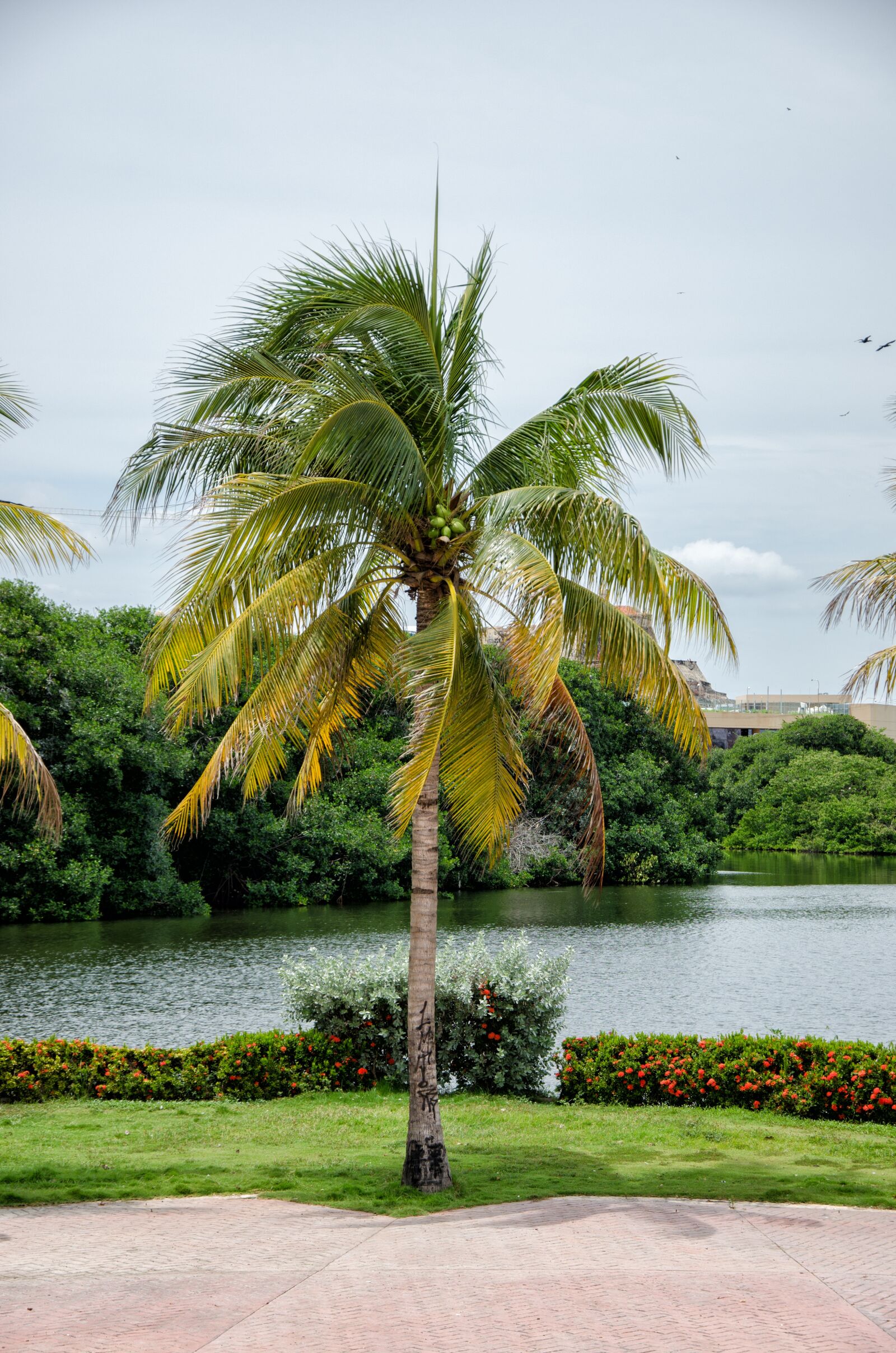 Nikon D5100 sample photo. Colombia, caribbean, cartagena photography