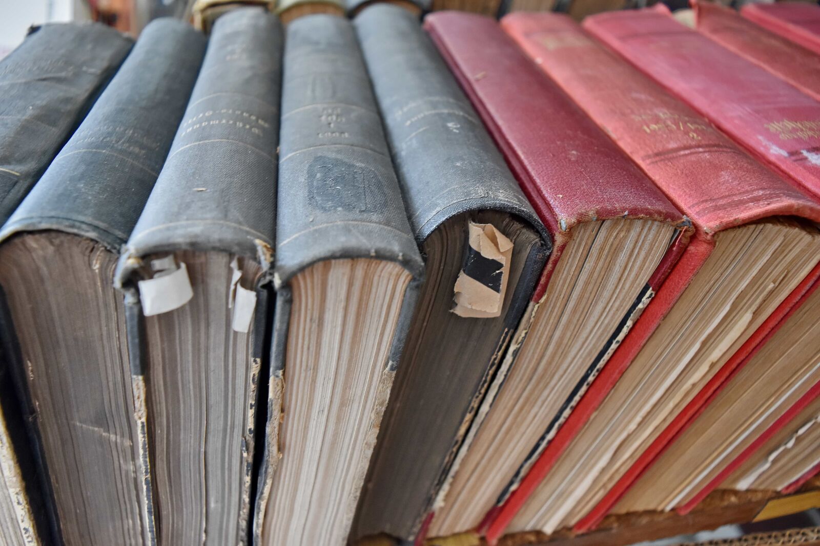 Nikon D5500 sample photo. Stacks, literature, library, knowledge photography