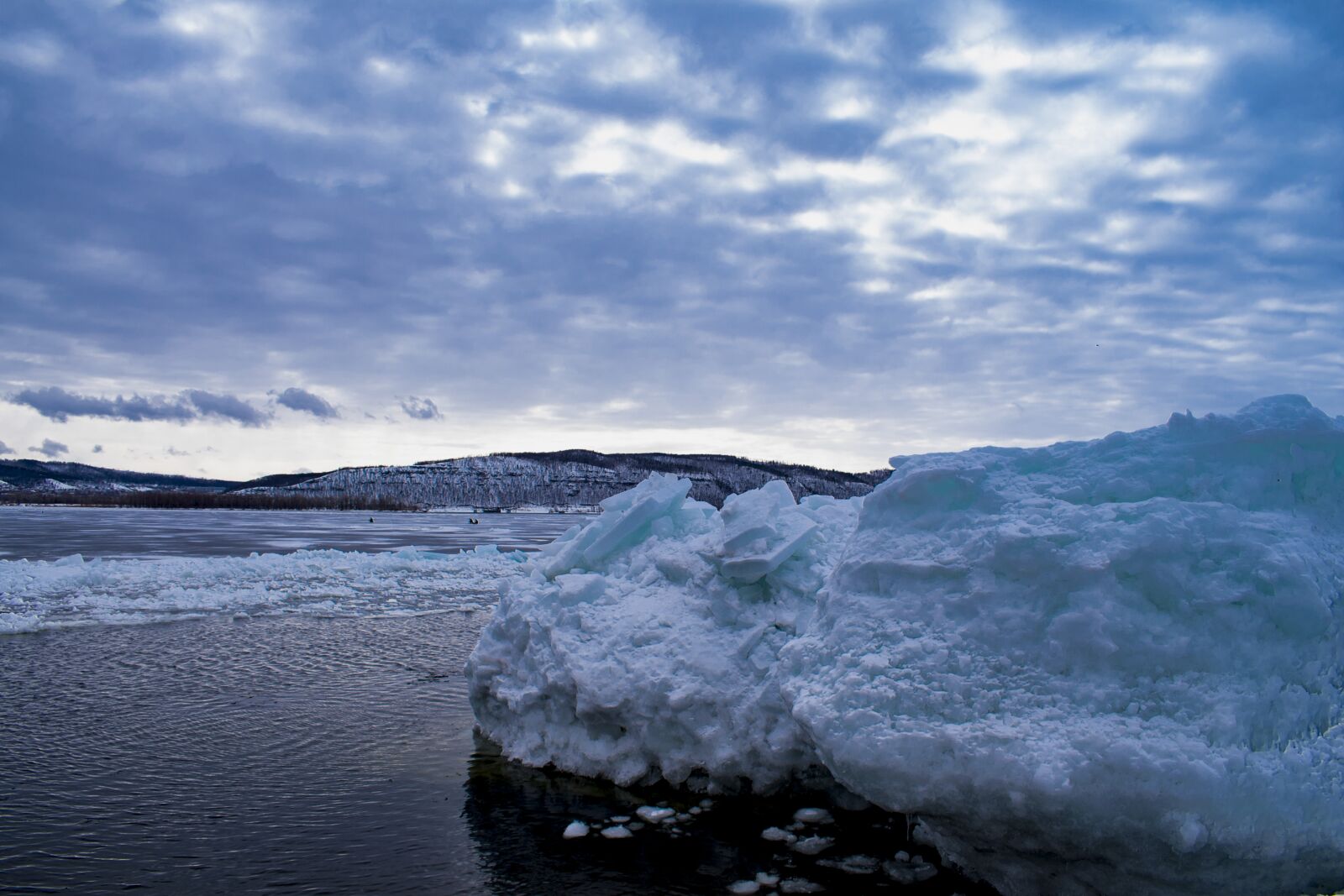 Nikon D5300 sample photo. River, wolf, ice photography
