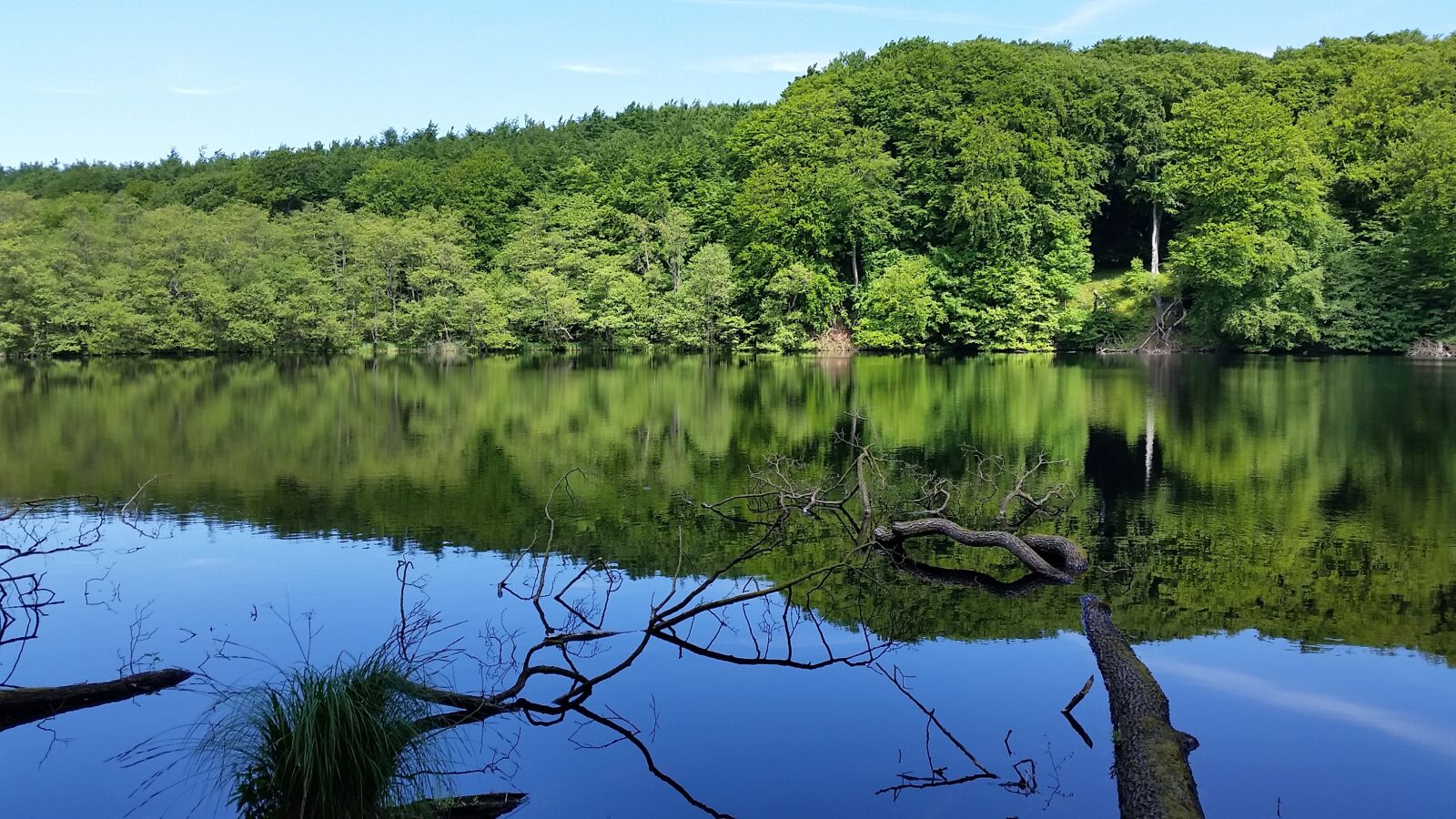Samsung Galaxy S5 sample photo. Lake, landscape, woods photography