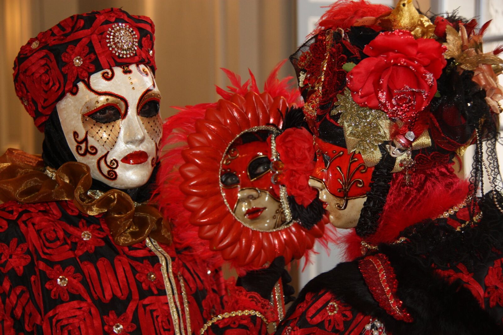Canon EOS 450D (EOS Rebel XSi / EOS Kiss X2) sample photo. Carnival, venetian, remiremont photography