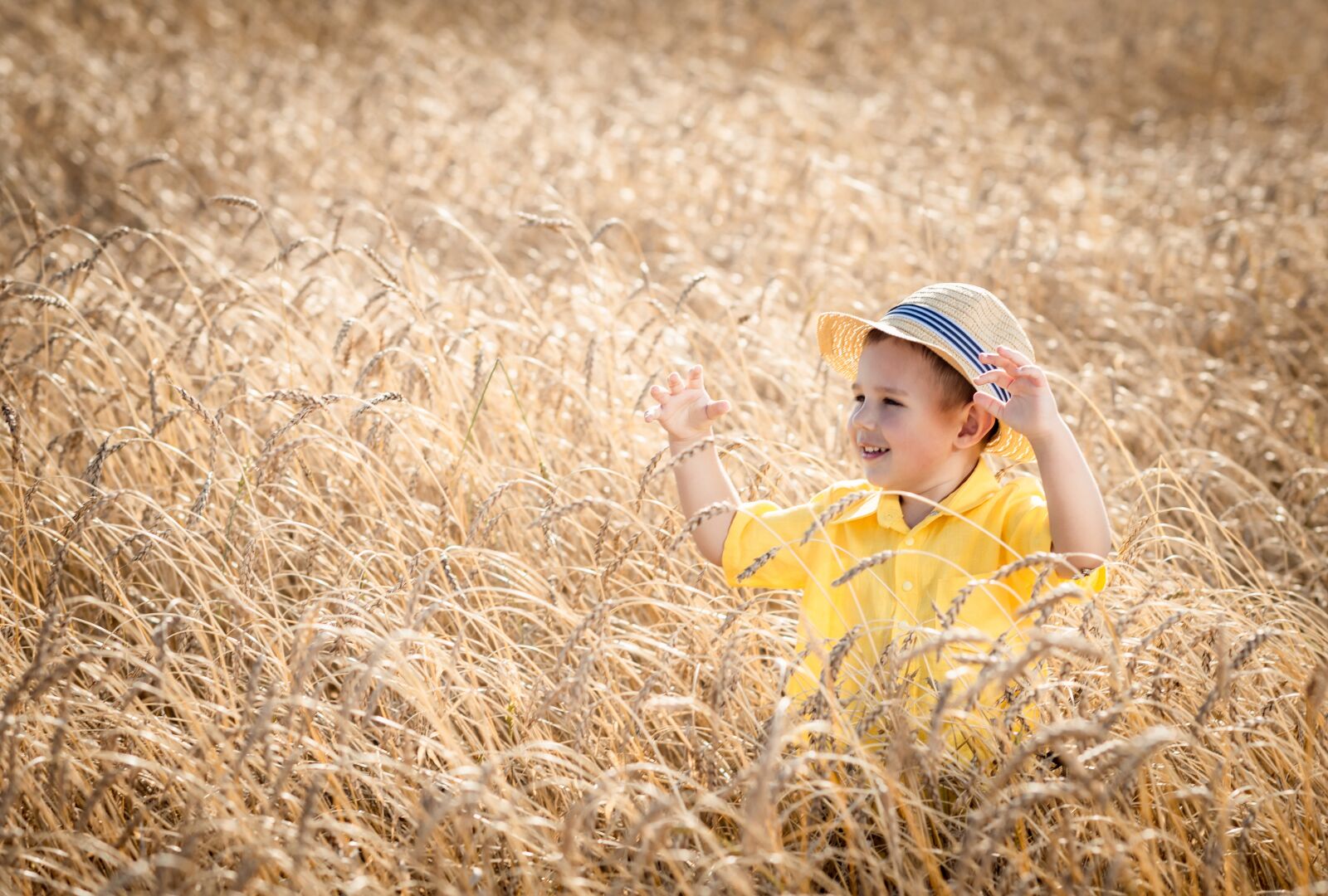 Nikon D800 sample photo. Autumn, wheat, boy photography