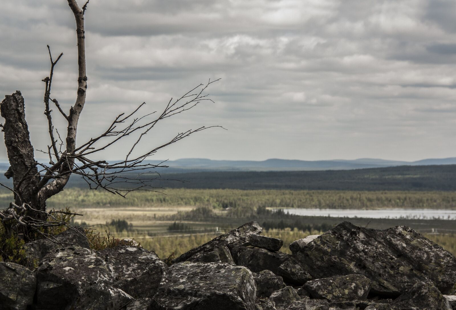 Canon EOS 450D (EOS Rebel XSi / EOS Kiss X2) sample photo. Landscape, nature, lapland photography