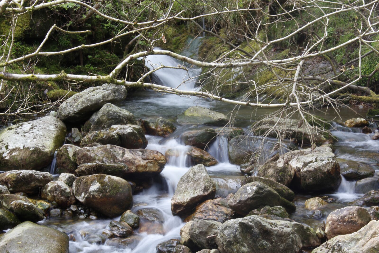 Canon EOS 600D (Rebel EOS T3i / EOS Kiss X5) sample photo. Stream, creek, flow photography