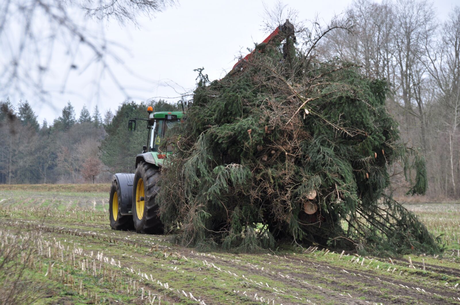 Nikon D5000 sample photo. Forestry, inventory, forestry work photography
