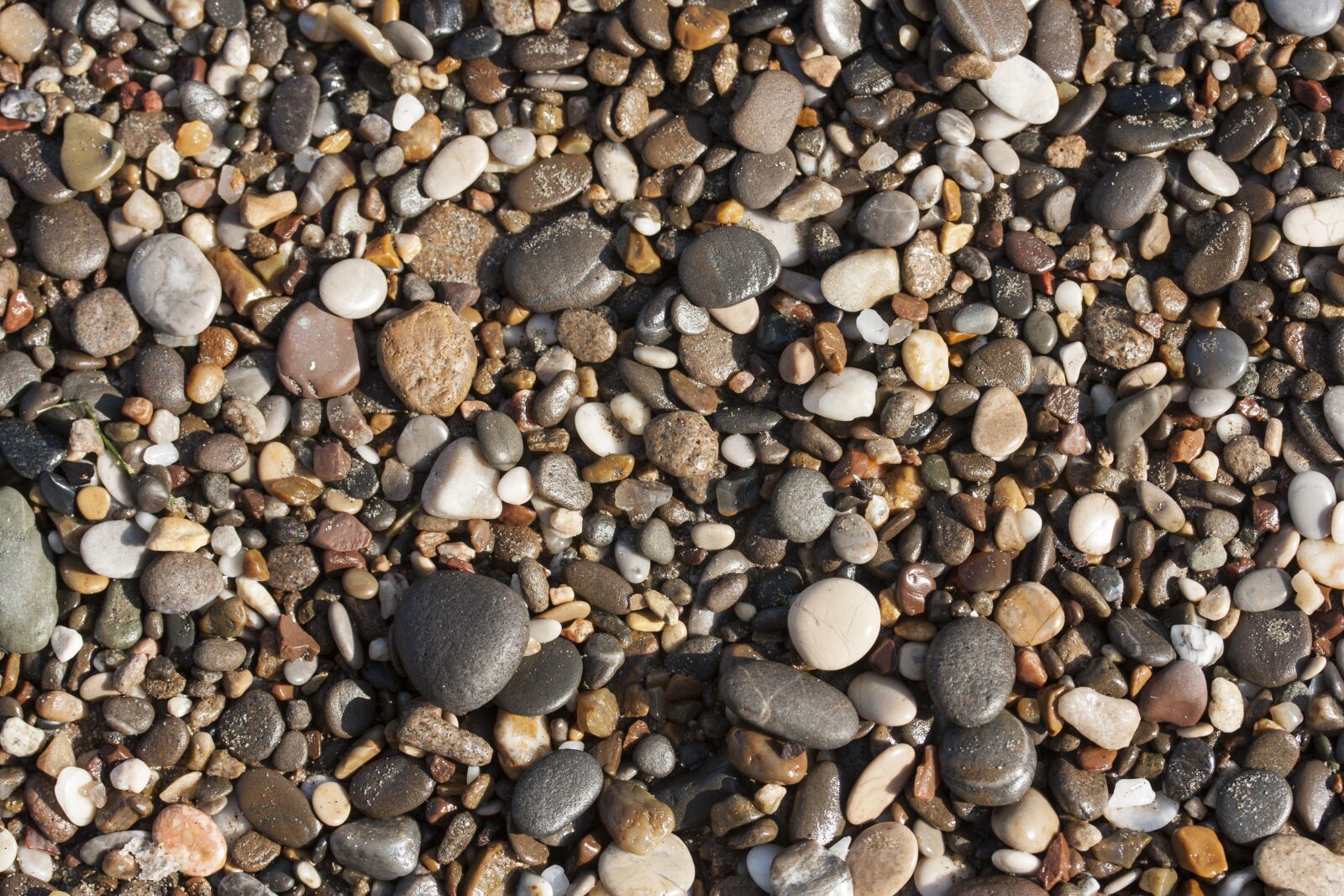 Canon EF-S 60mm F2.8 Macro USM sample photo. Stone, beach, gravel photography