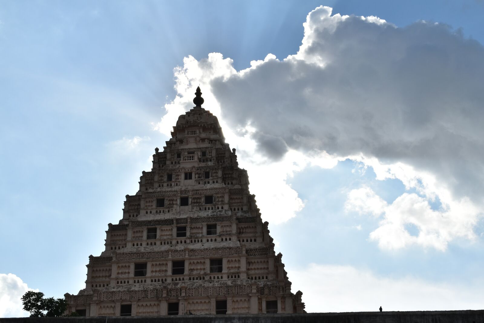 Nikon D5500 sample photo. Thanjavur, tamilnadu, thanjavur palace photography