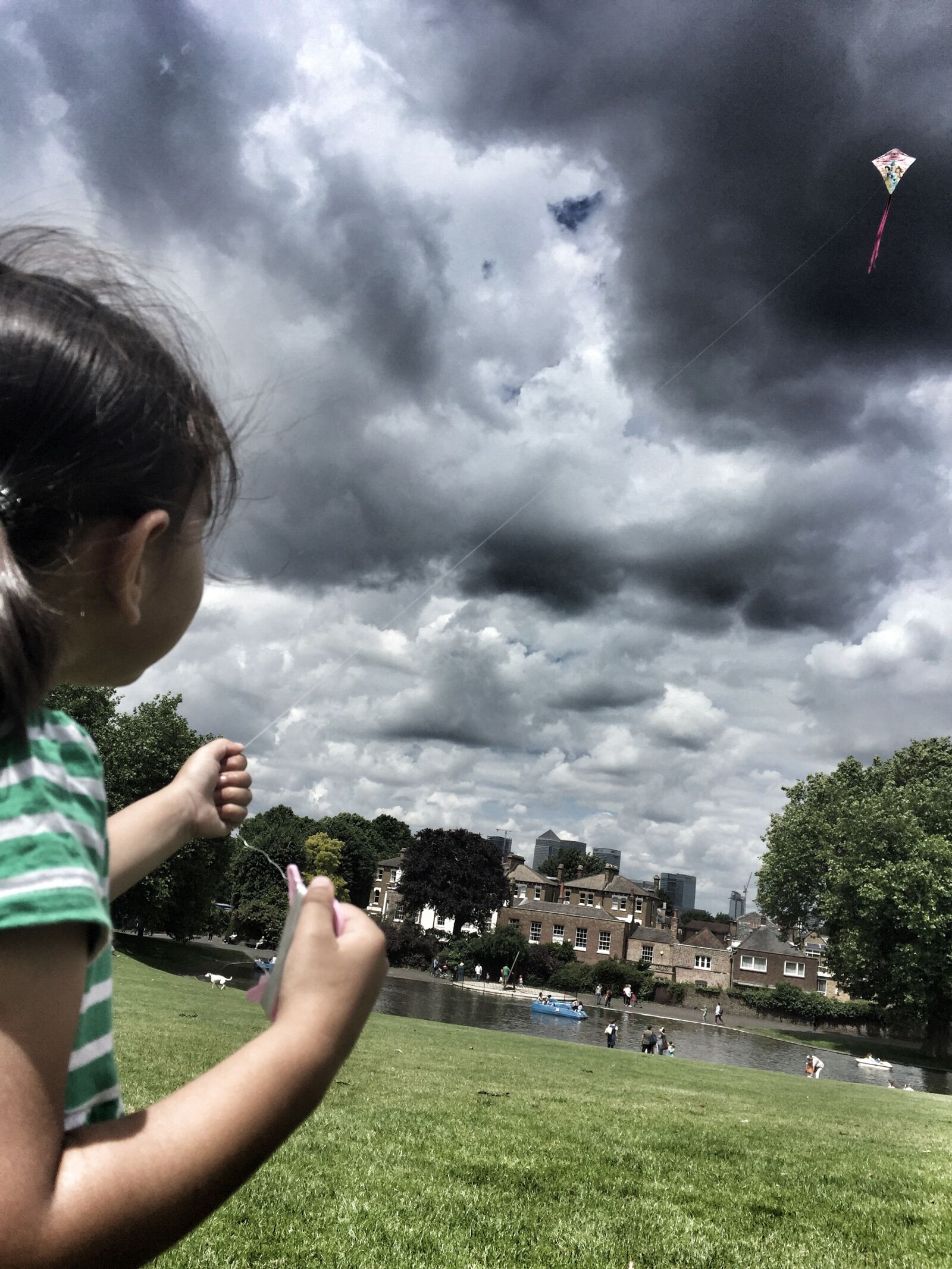 Apple iPhone 6 sample photo. Kite, cloudy, storm photography