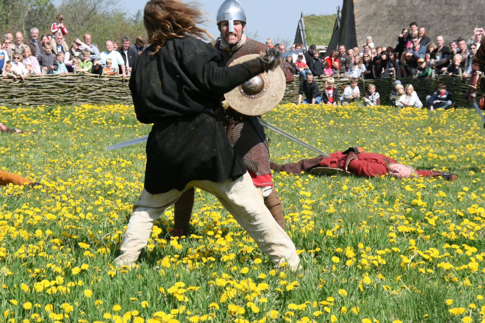 Sigma 18-200mm f/3.5-6.3 DC OS sample photo. Vikings photography