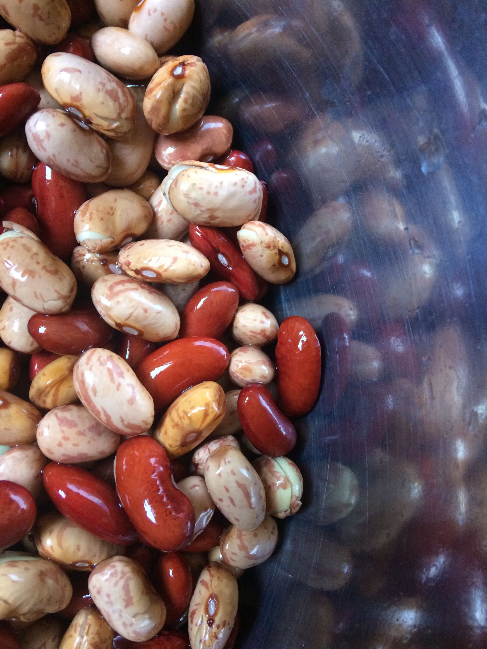 iPhone 5s back camera 4.15mm f/2.2 sample photo. Beans, bean, food photography