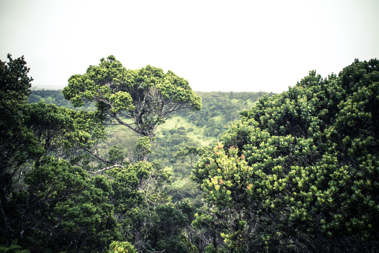 Nikon D5200 sample photo