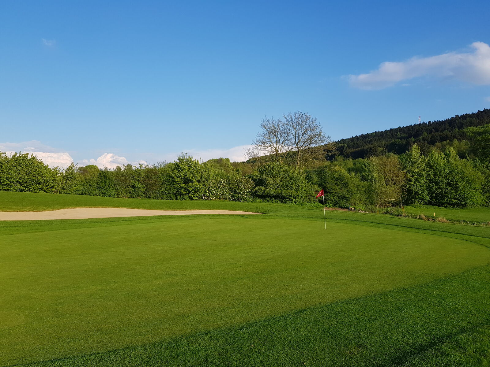 Samsung Galaxy S8+ sample photo. Golf, gctw, teutoburger, wald photography