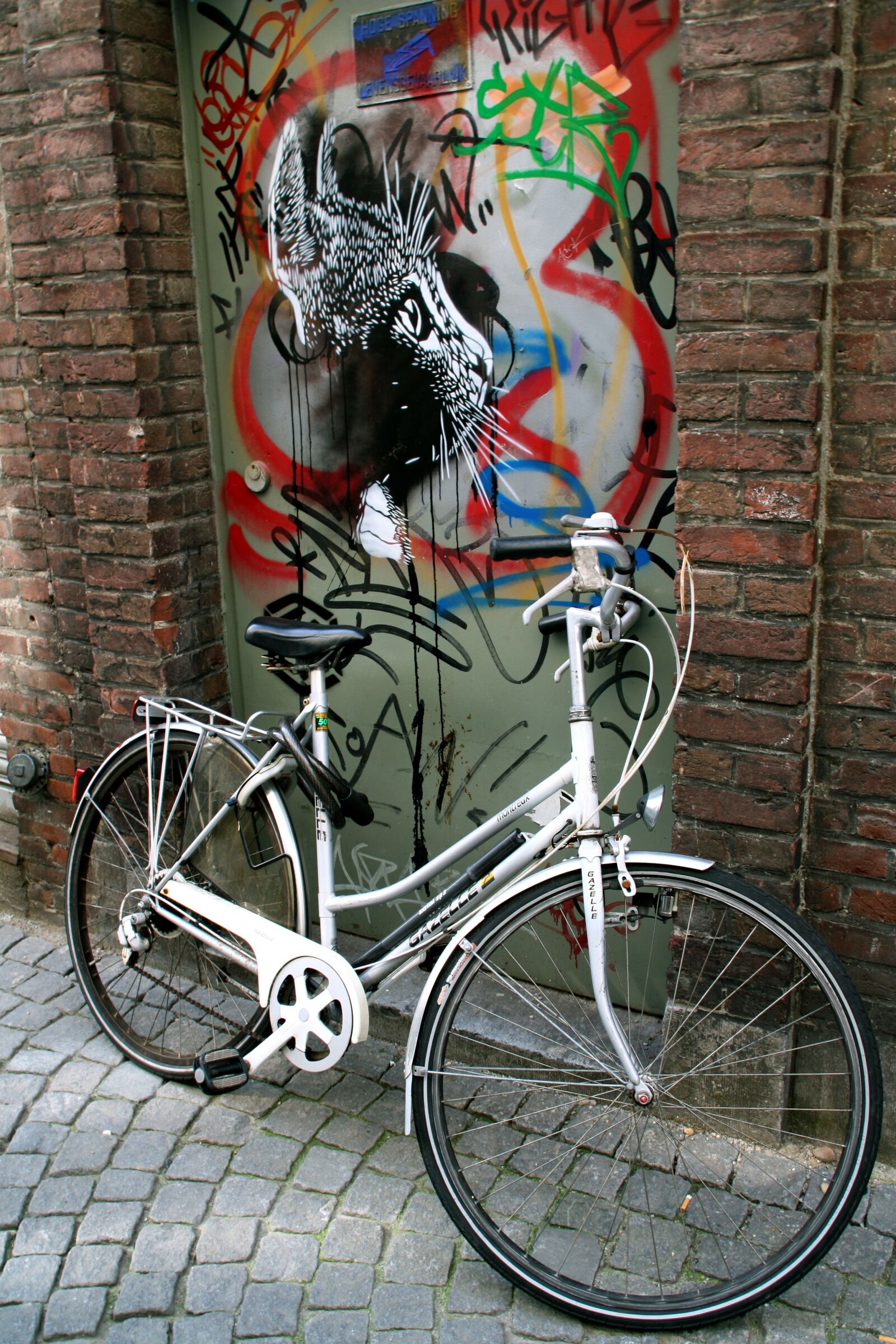 Canon EOS 450D (EOS Rebel XSi / EOS Kiss X2) sample photo. Bicycle, maastricht, holland photography