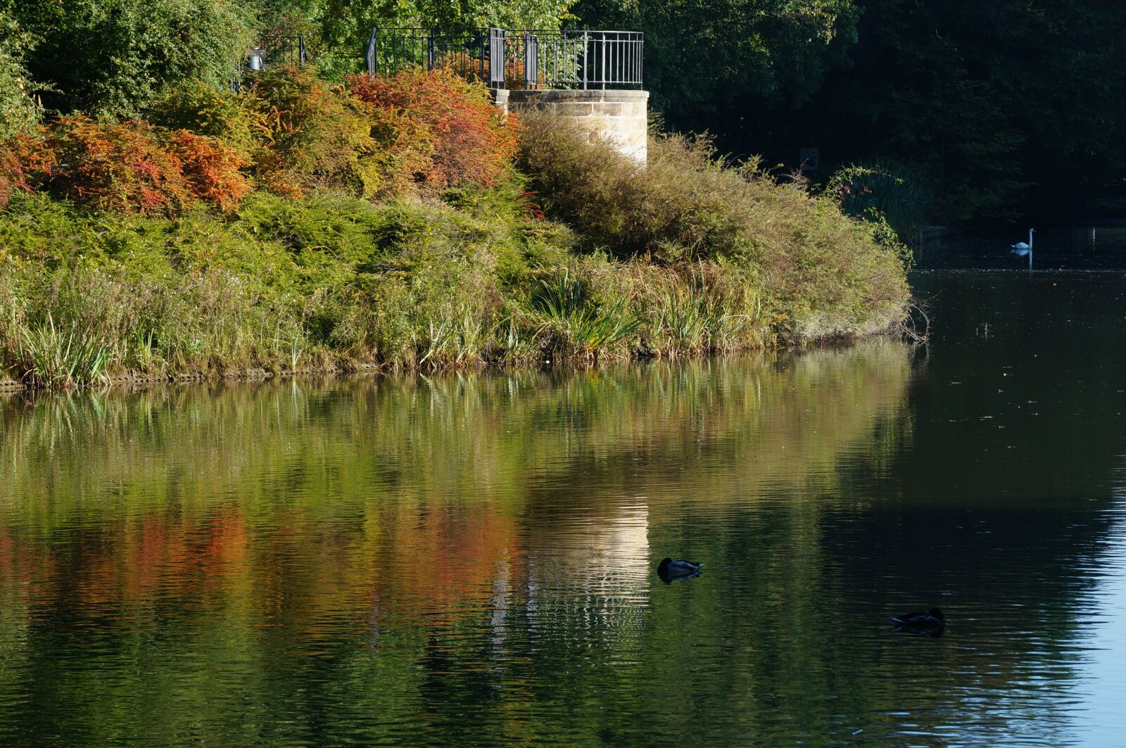 Sony Alpha NEX-6 sample photo. Lake, mirroring, autumn photography