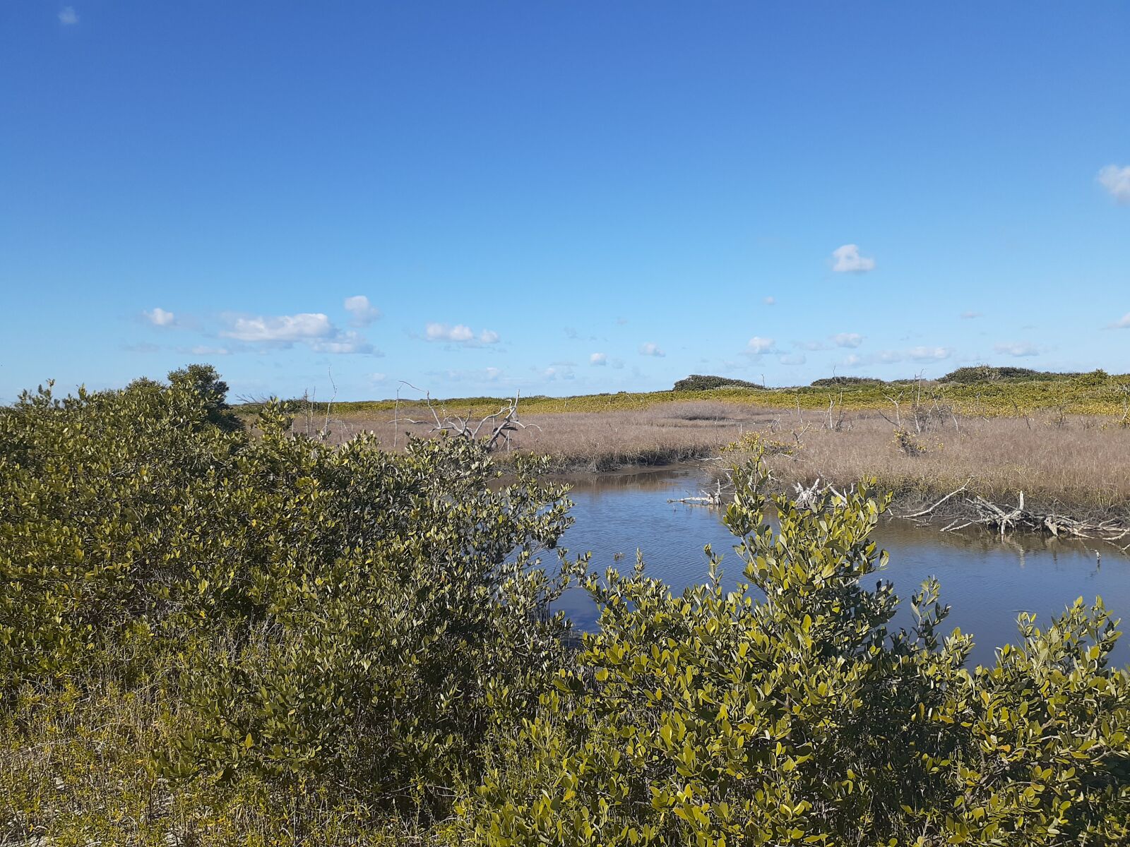 Samsung Galaxy A20 sample photo. Wetlands, nature, landscape photography
