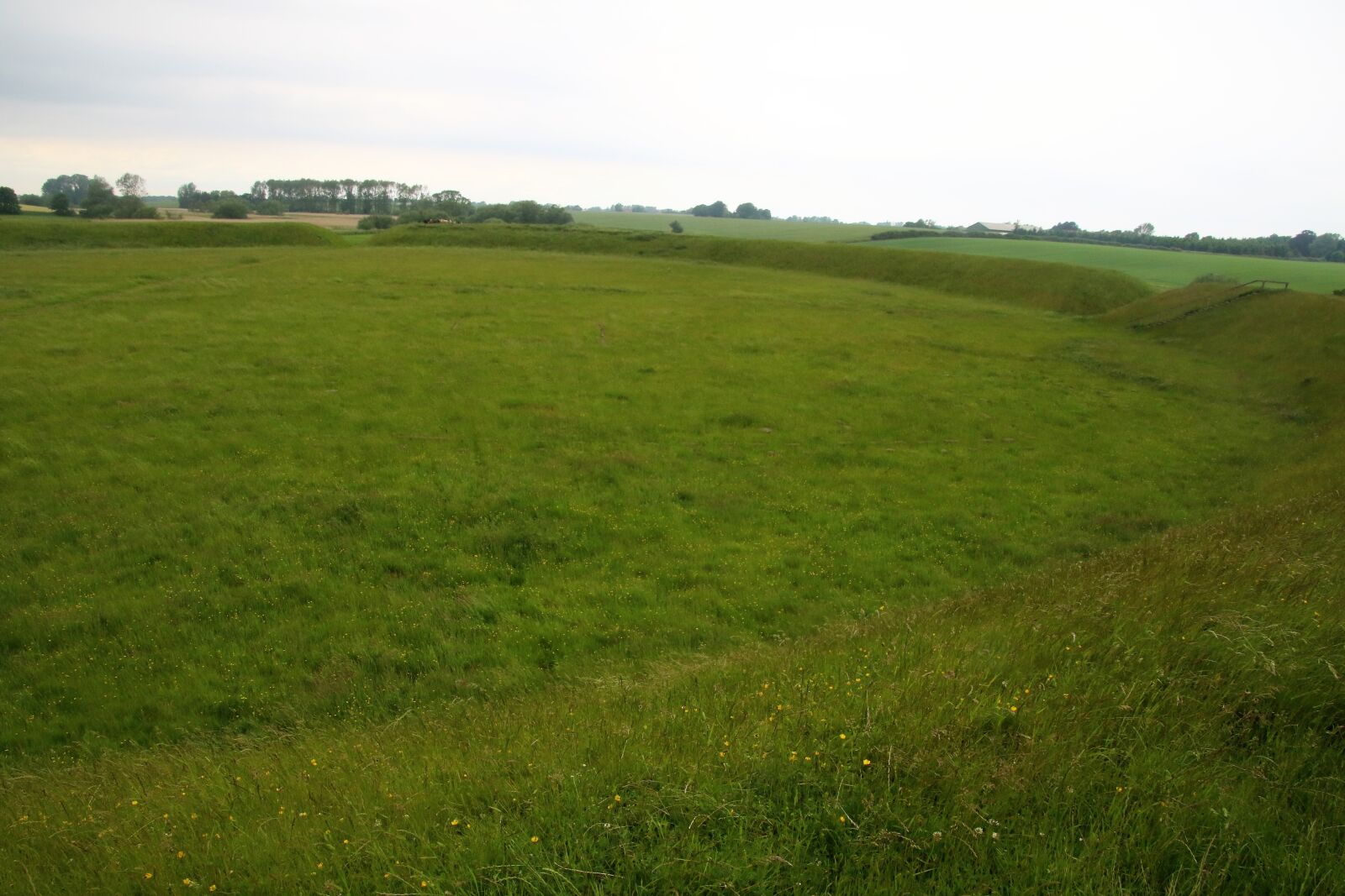 Canon EOS 7D Mark II sample photo. Circle, country, field, grass photography