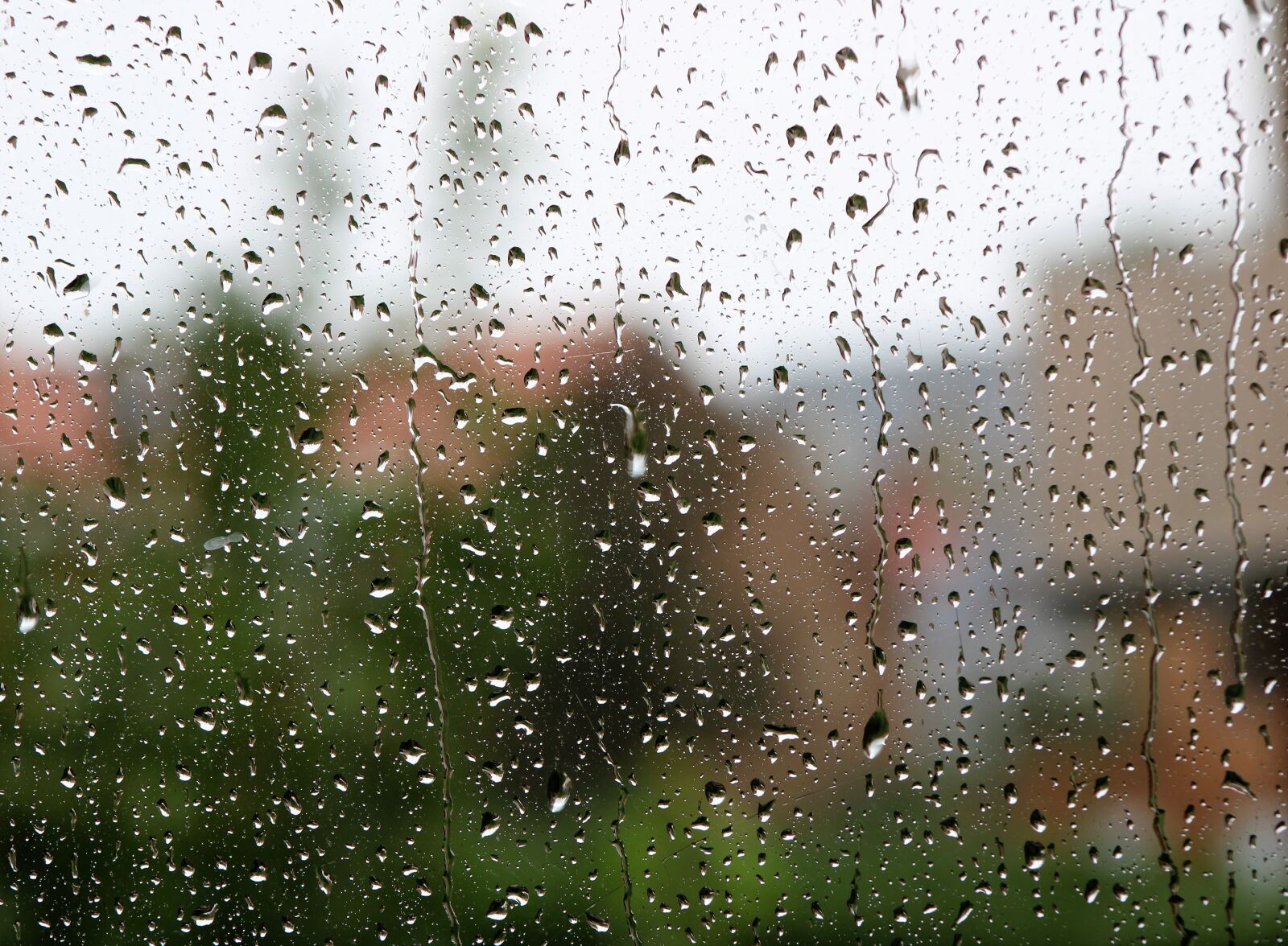 Canon EOS 2000D (EOS Rebel T7 / EOS Kiss X90 / EOS 1500D) sample photo. Rain, drops, wet photography
