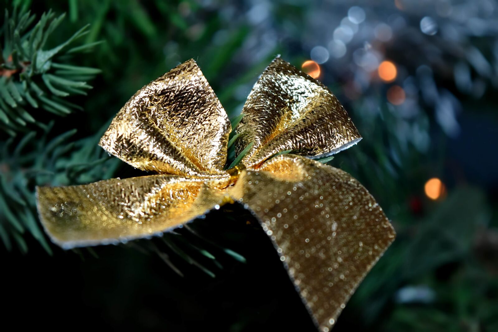 Nikon D5500 sample photo. Backlight, beautiful, branches, christmas photography