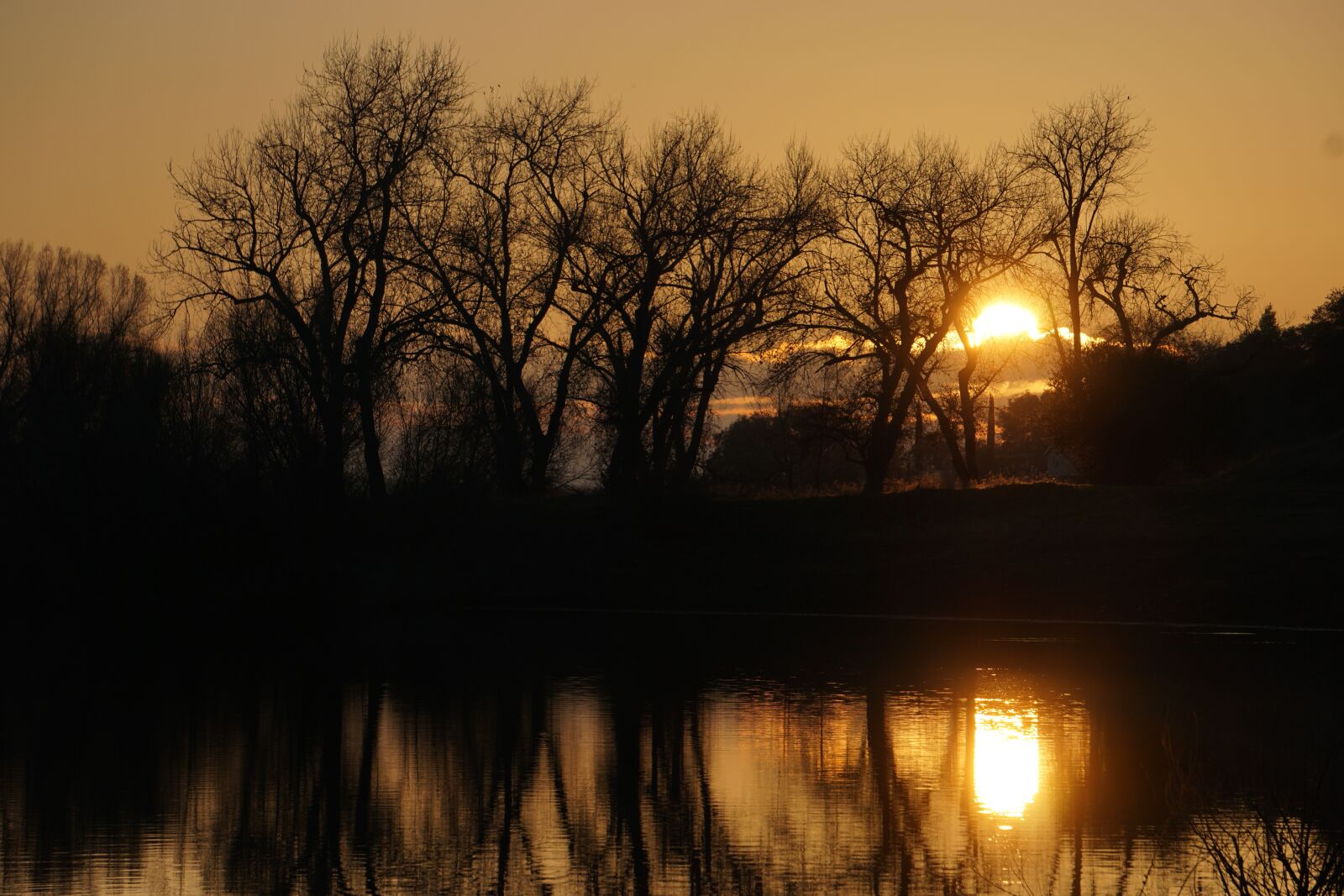 Sony E 55-210mm F4.5-6.3 OSS sample photo. Sunset, silhouette, trees photography