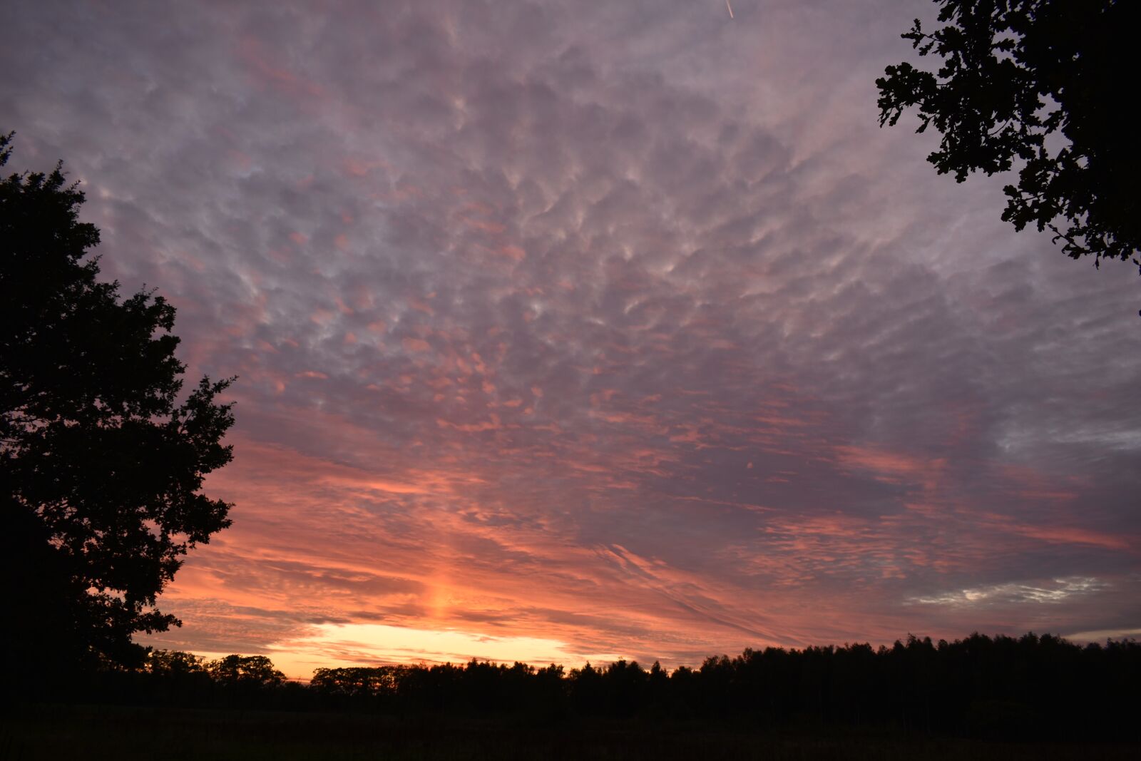Nikon D3500 sample photo. Evening sky, sunset, heaven photography