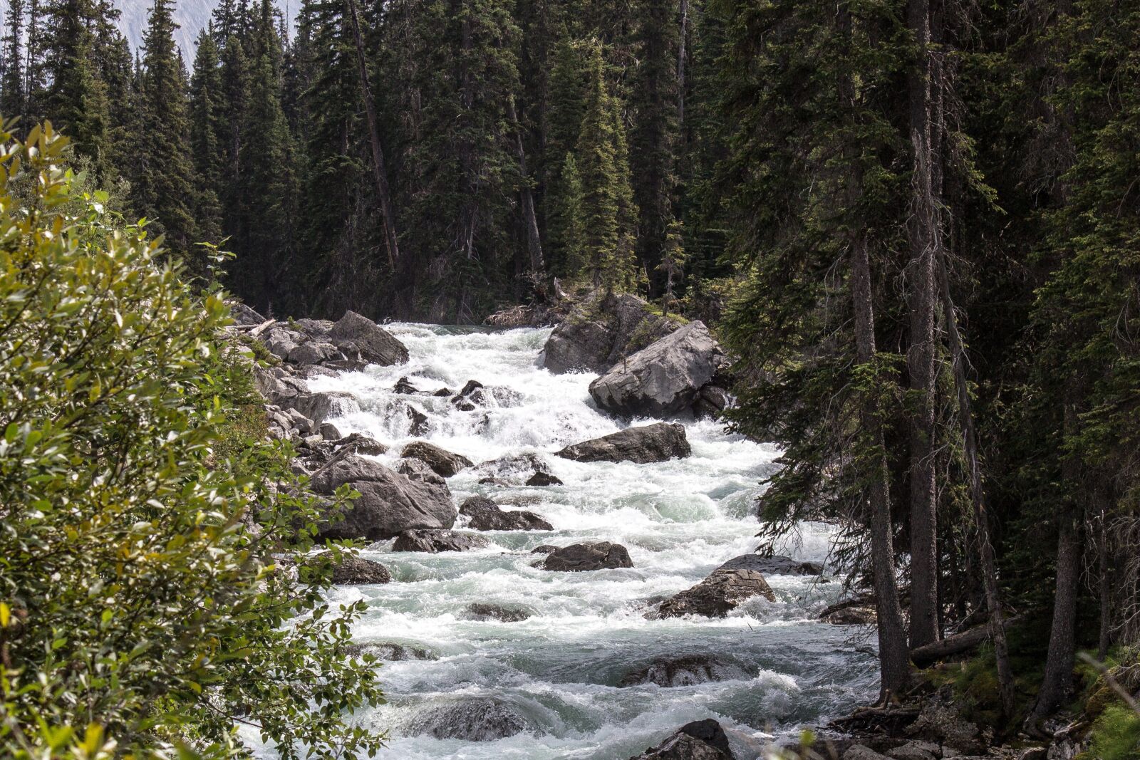 Canon EF-S 55-250mm F4-5.6 IS sample photo. Maligne river, jasper, alberta photography