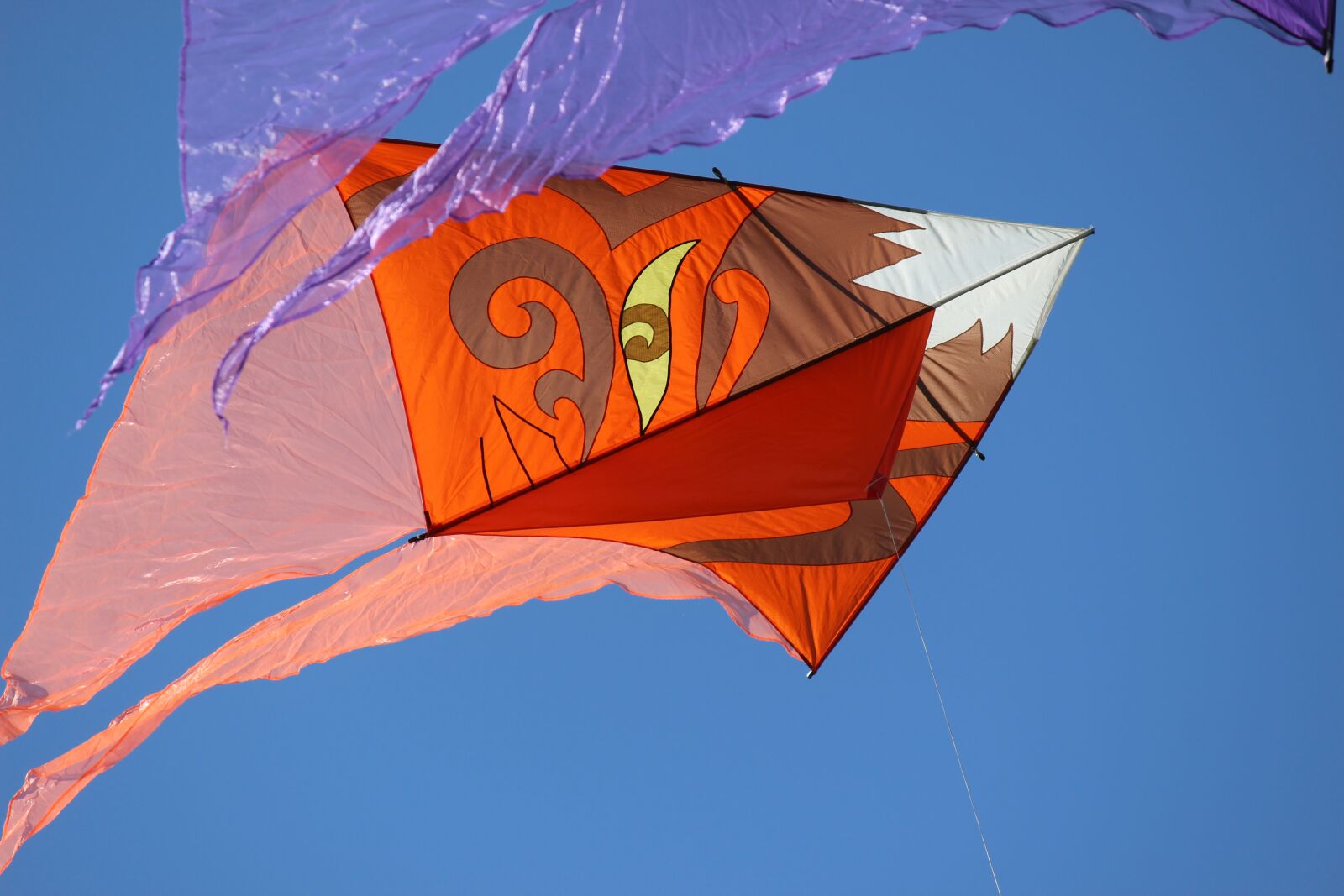 Canon EOS 600D (Rebel EOS T3i / EOS Kiss X5) sample photo. Autumn festival, kite, blue photography