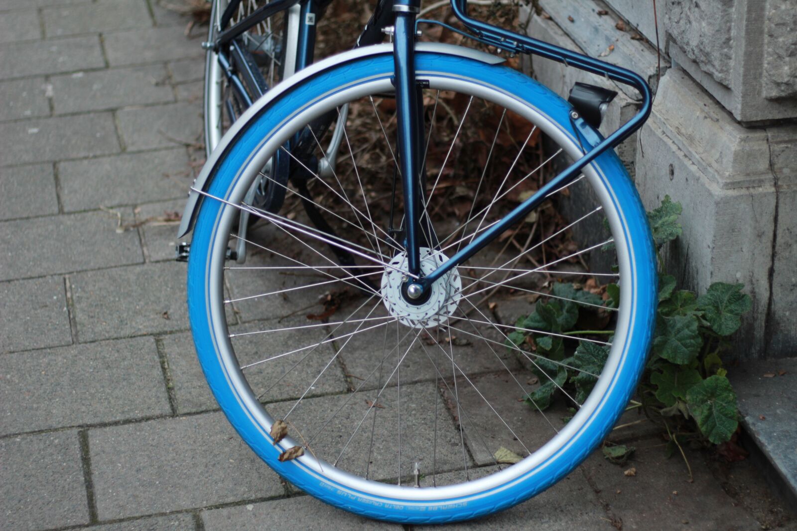 Canon EOS 1300D (EOS Rebel T6 / EOS Kiss X80) + Canon EF 50mm F1.8 STM sample photo. Bike, tire, blue photography