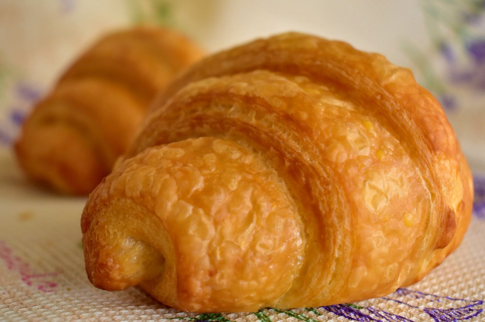 Nikon D3400 sample photo. Croissant, croissants, food photography