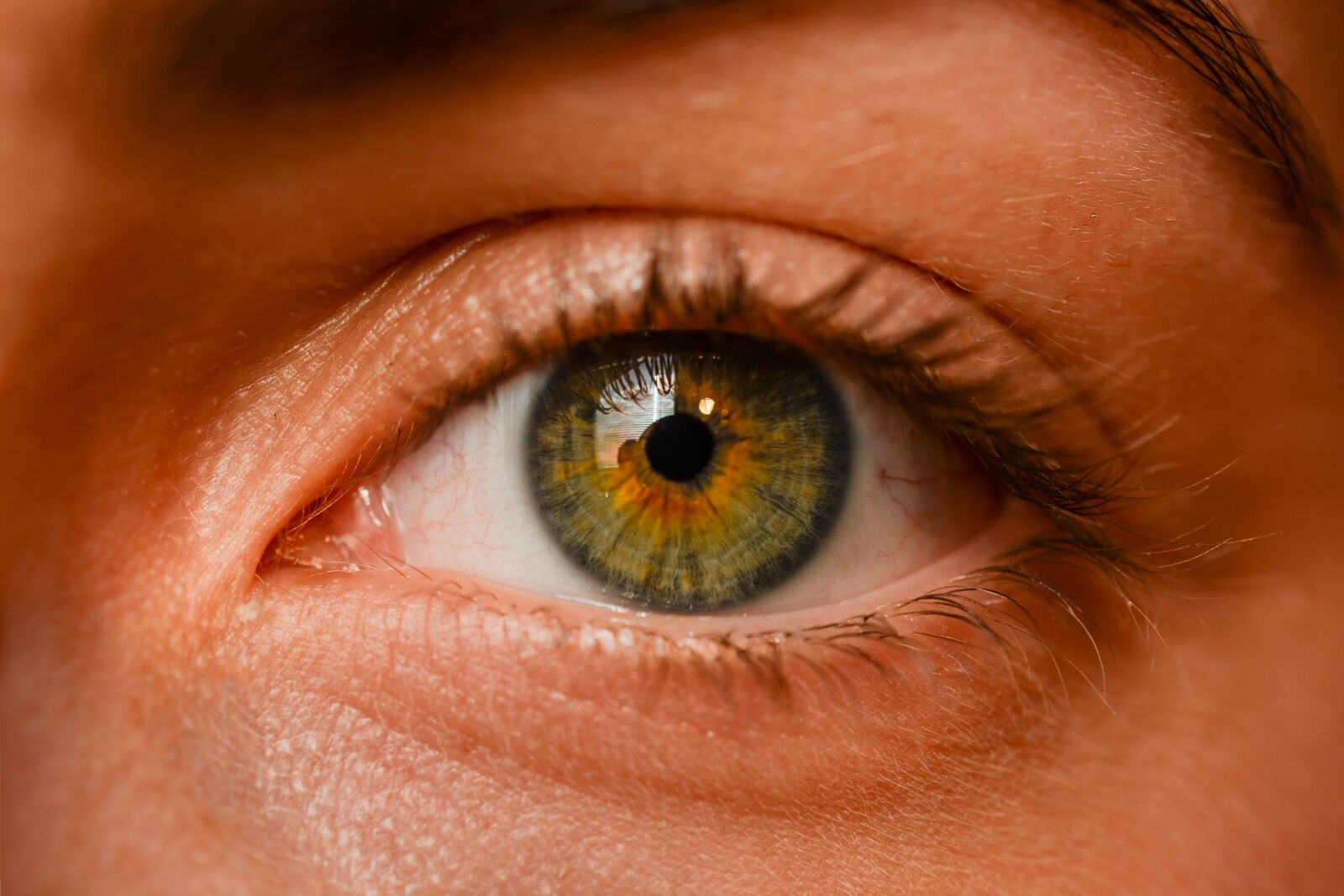 Nikon D5200 sample photo. Eye, iris, sight photography