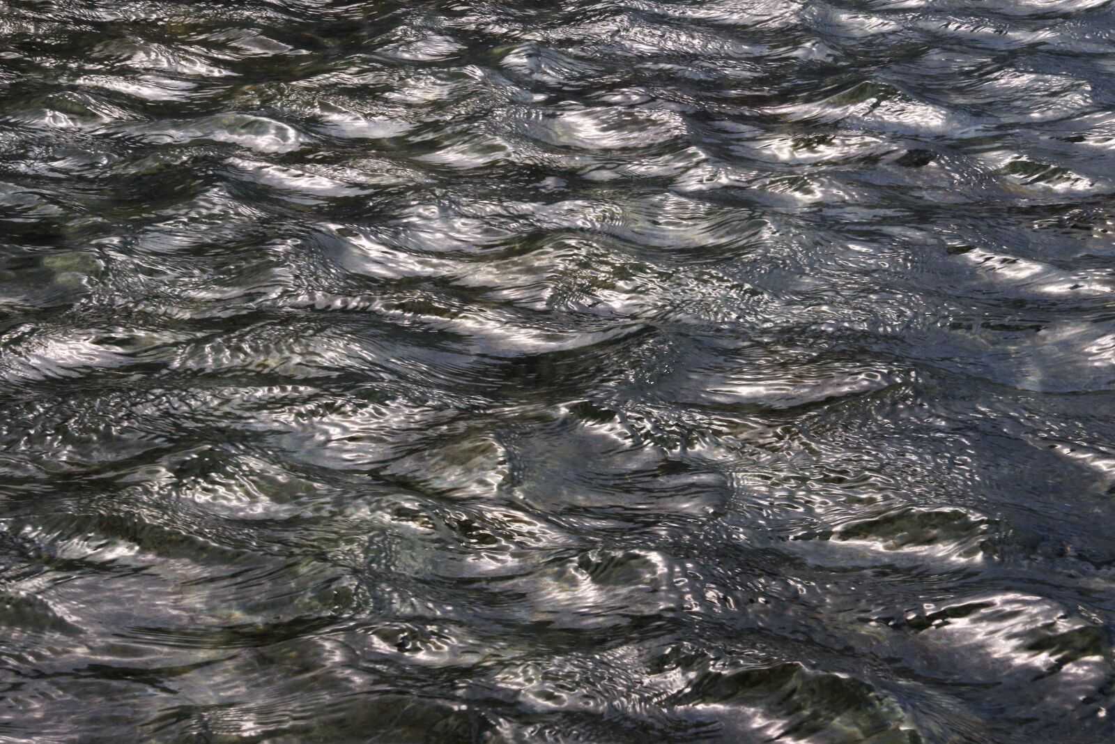 Canon EOS 7D Mark II sample photo. Background, ican, magdaehlers, nature photography