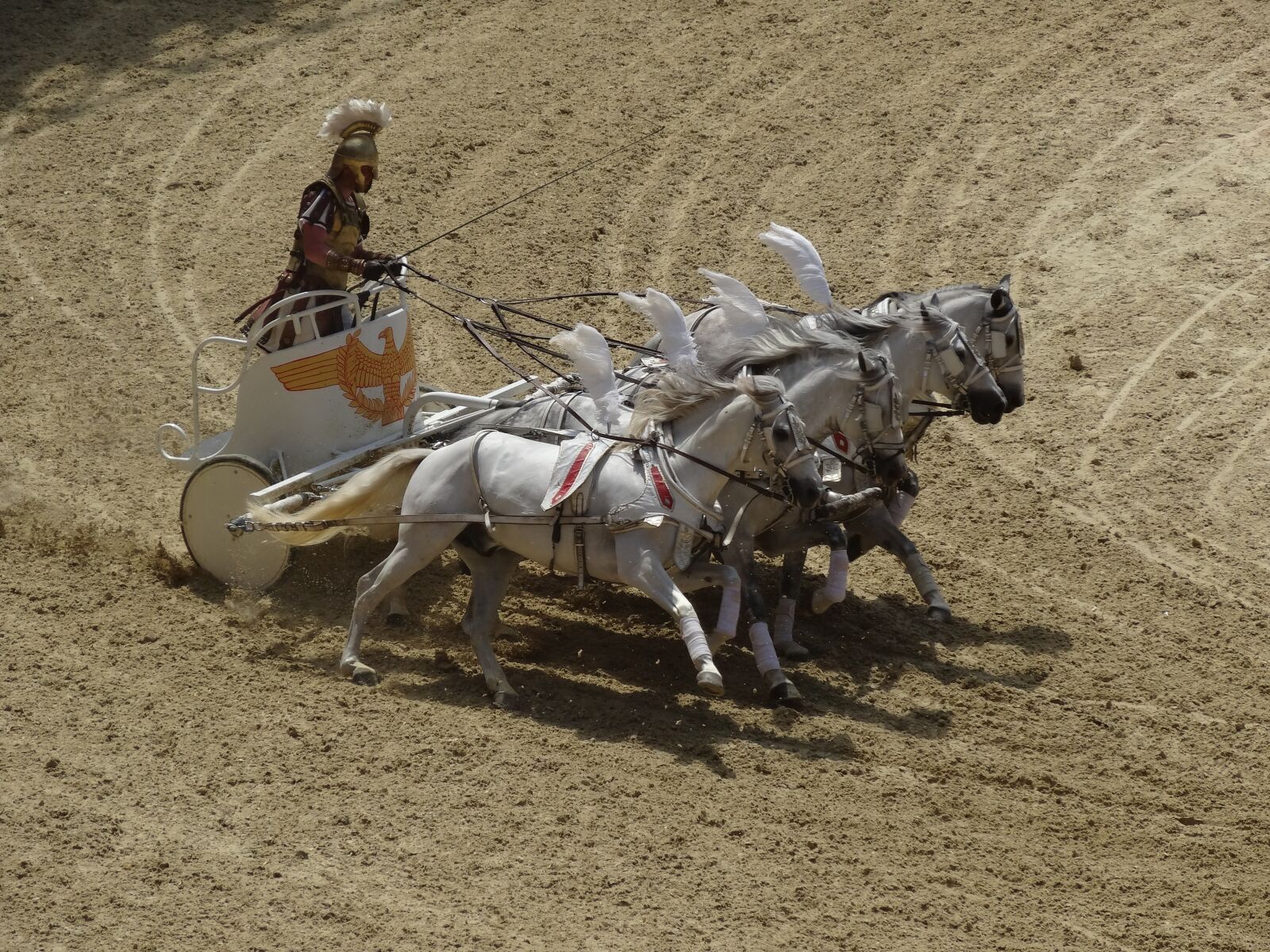 Sony Cyber-shot DSC-HX20V sample photo. Horses, roman, arena photography