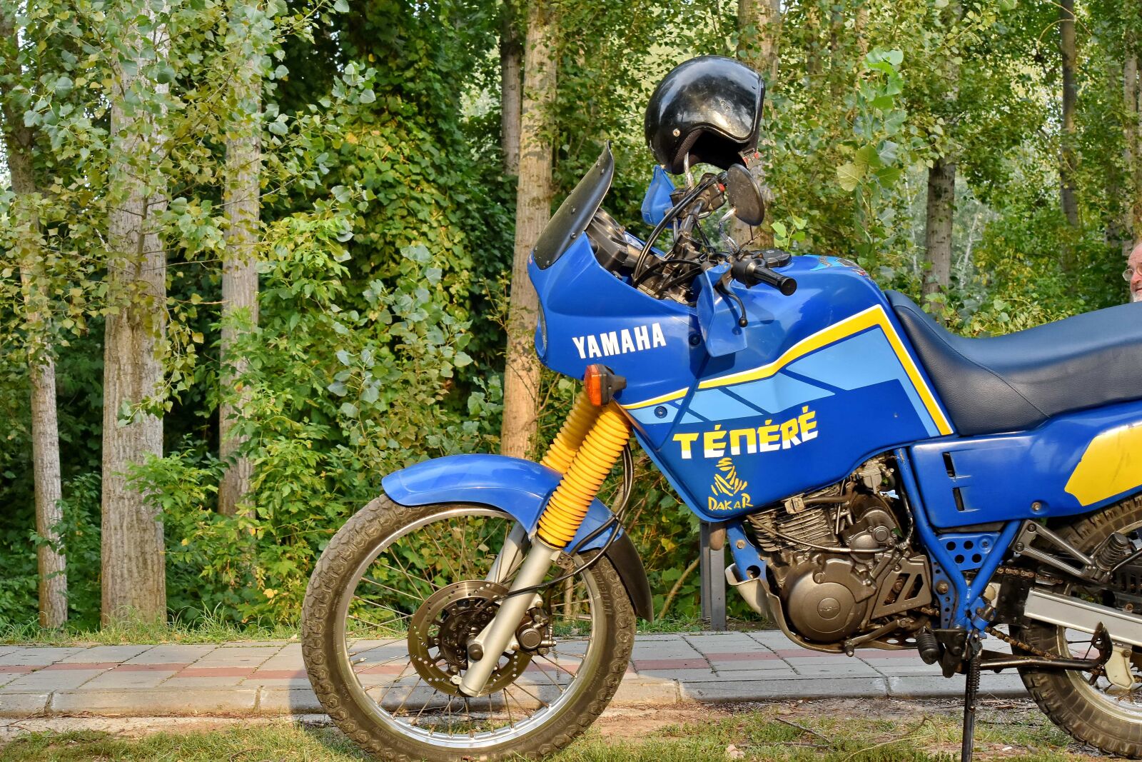 Nikon D5500 sample photo. Forest, japanese, motocross, vehicles photography