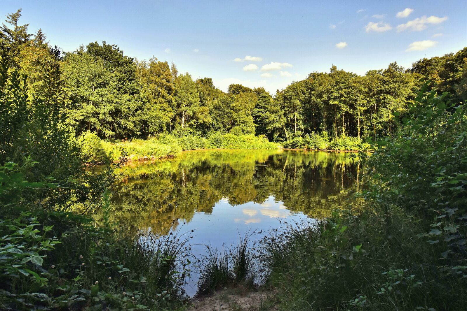Nikon D5600 sample photo. Landscape, lake, nature photography