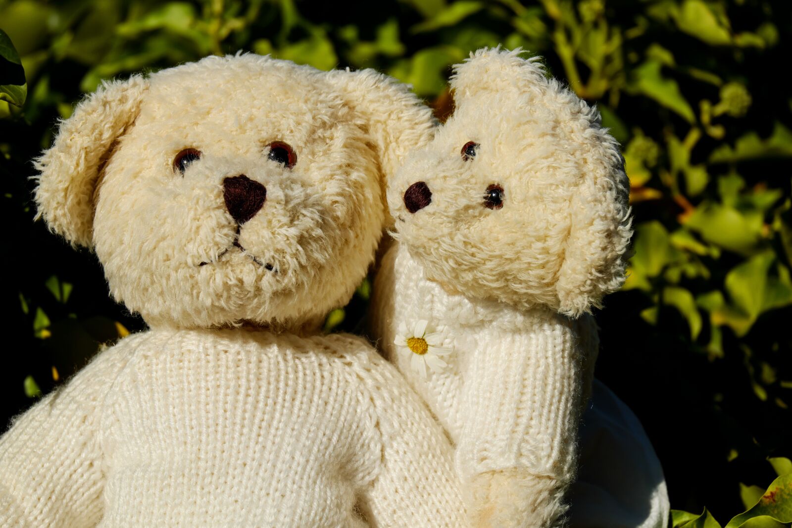 Fujifilm X-T10 + Fujifilm XC 50-230mm F4.5-6.7 OIS sample photo. Teddy, plush, bears photography