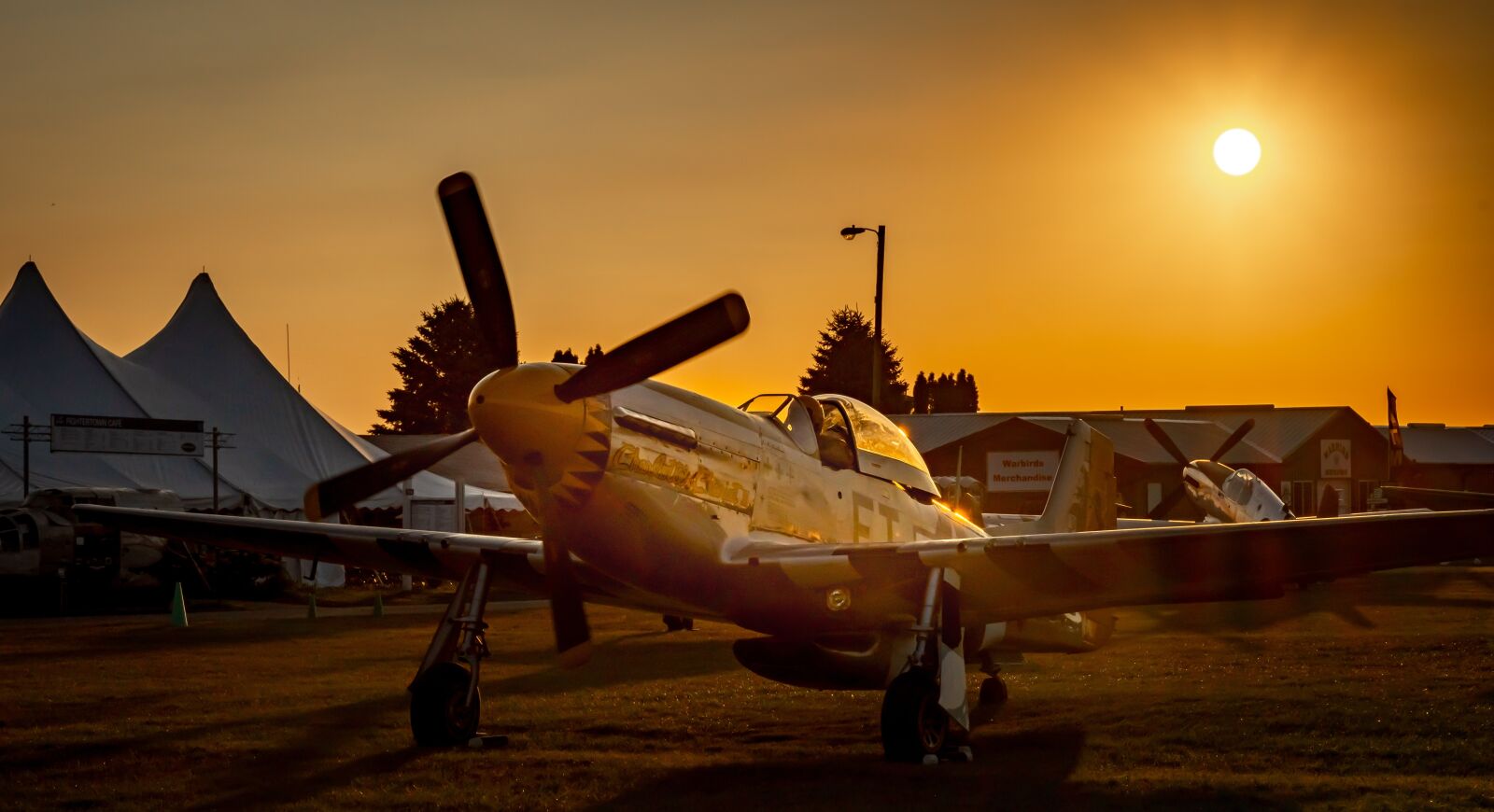 Tamron SP 24-70mm F2.8 Di VC USD sample photo. P-51, military, fighter photography