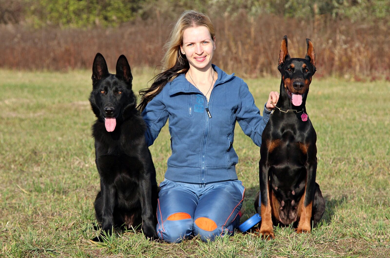 Canon EOS 600D (Rebel EOS T3i / EOS Kiss X5) sample photo. Doberman, black german shepherd photography