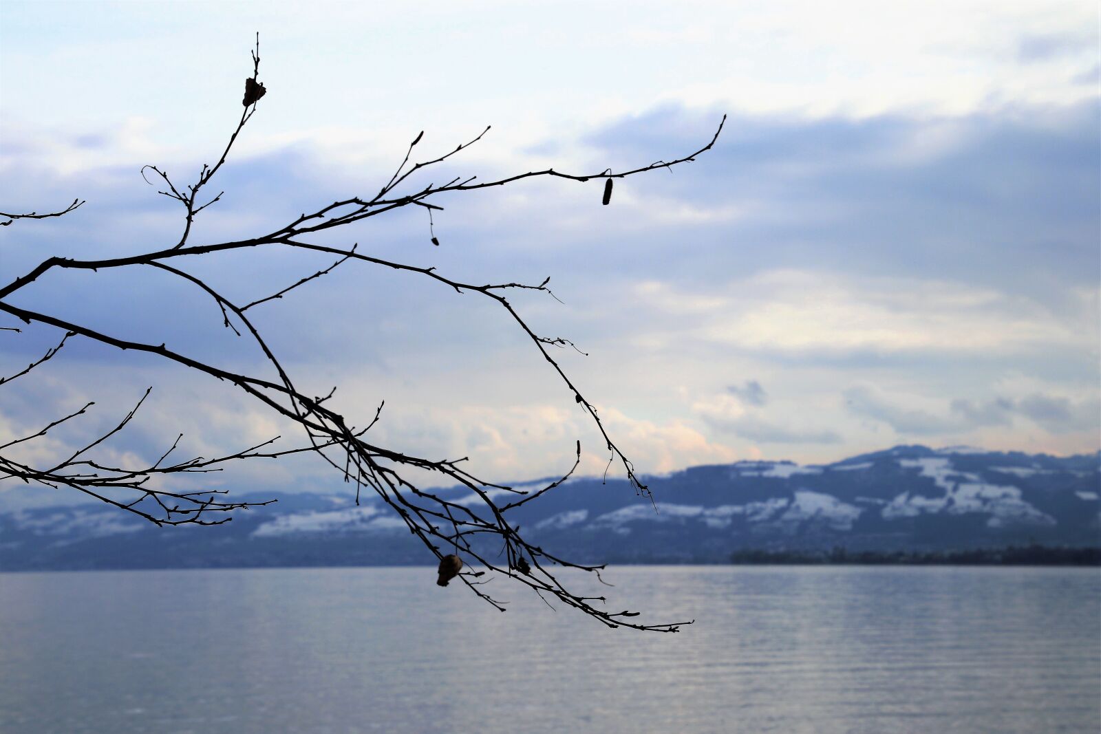 Canon EOS 80D sample photo. Water, lake, glow photography