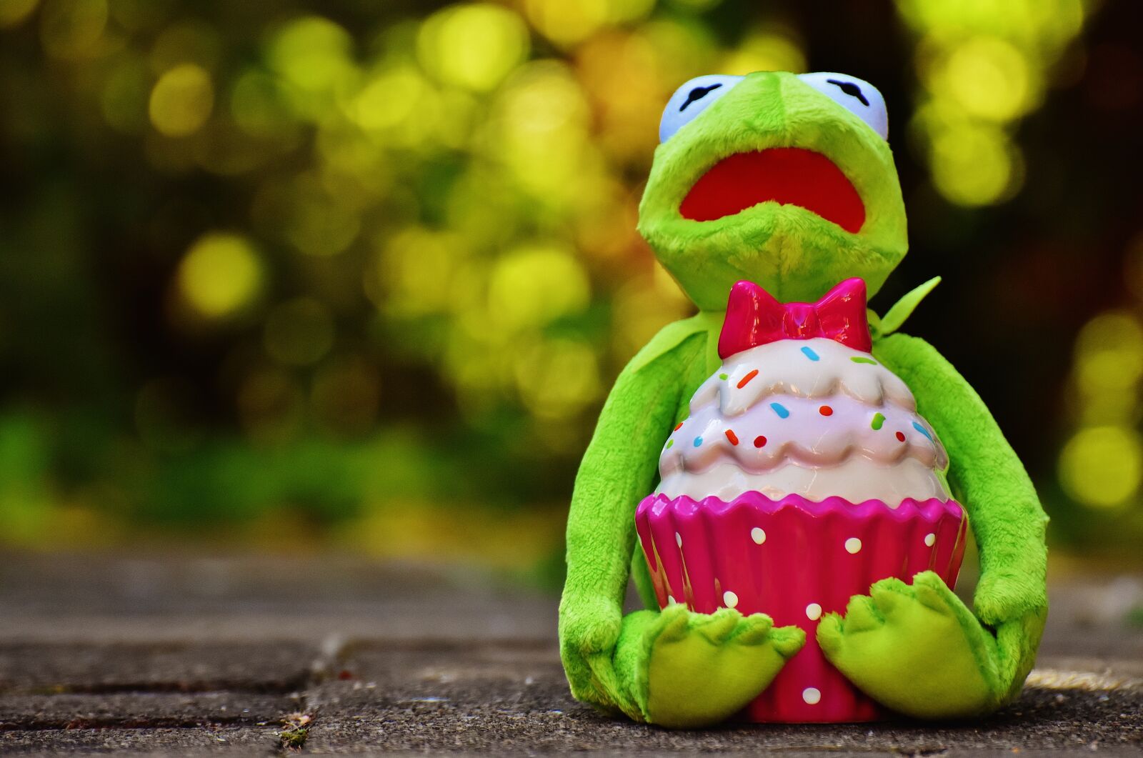 Nikon D7200 sample photo. Kermit, frog, cupcake photography