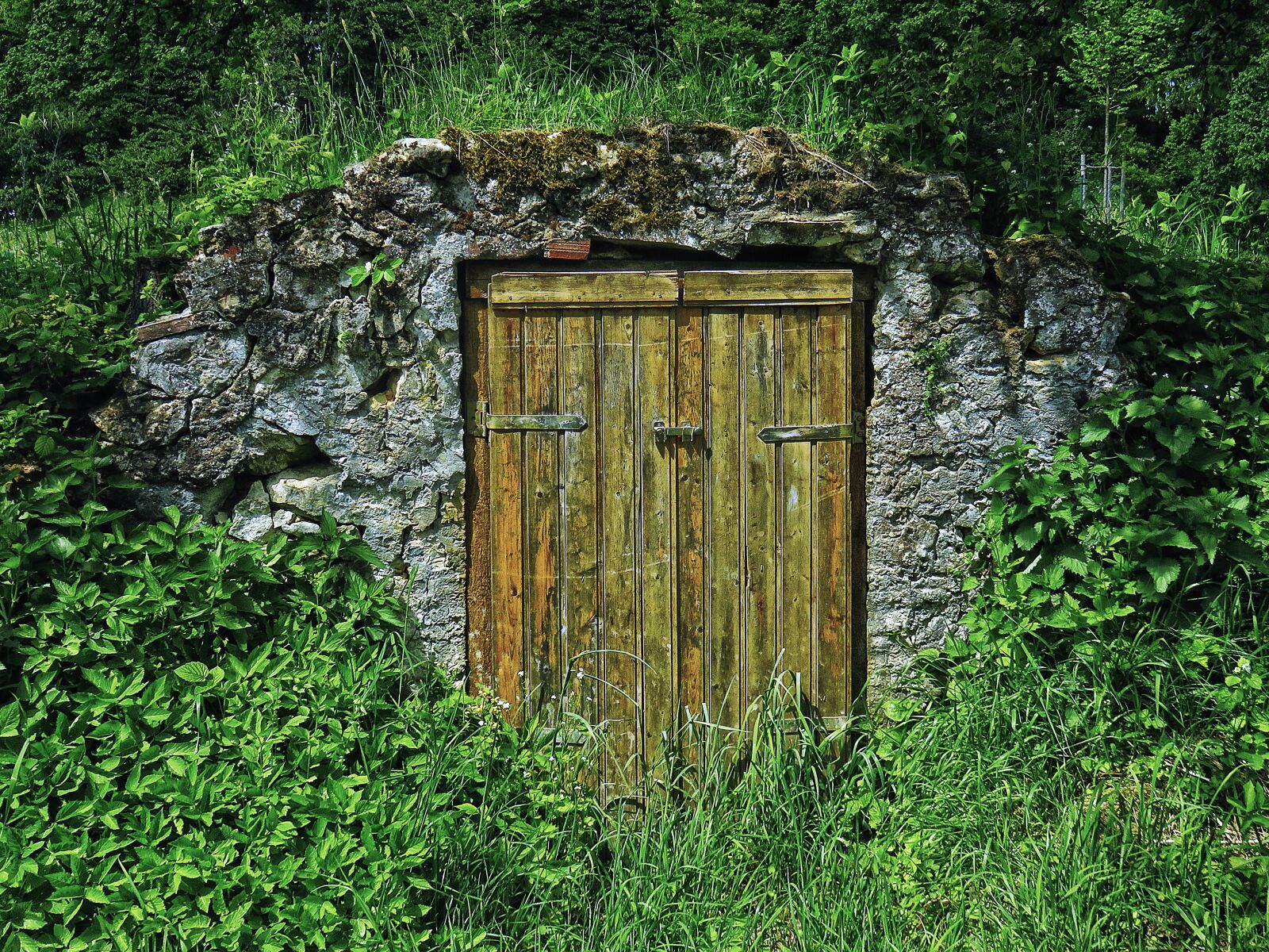 Canon PowerShot SX710 HS sample photo. Keller, storage cellar, wooden photography