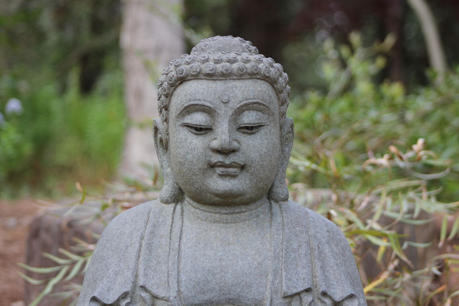 Canon EF75-300mm f/4-5.6 sample photo. Buddha, peaceful, meditation photography