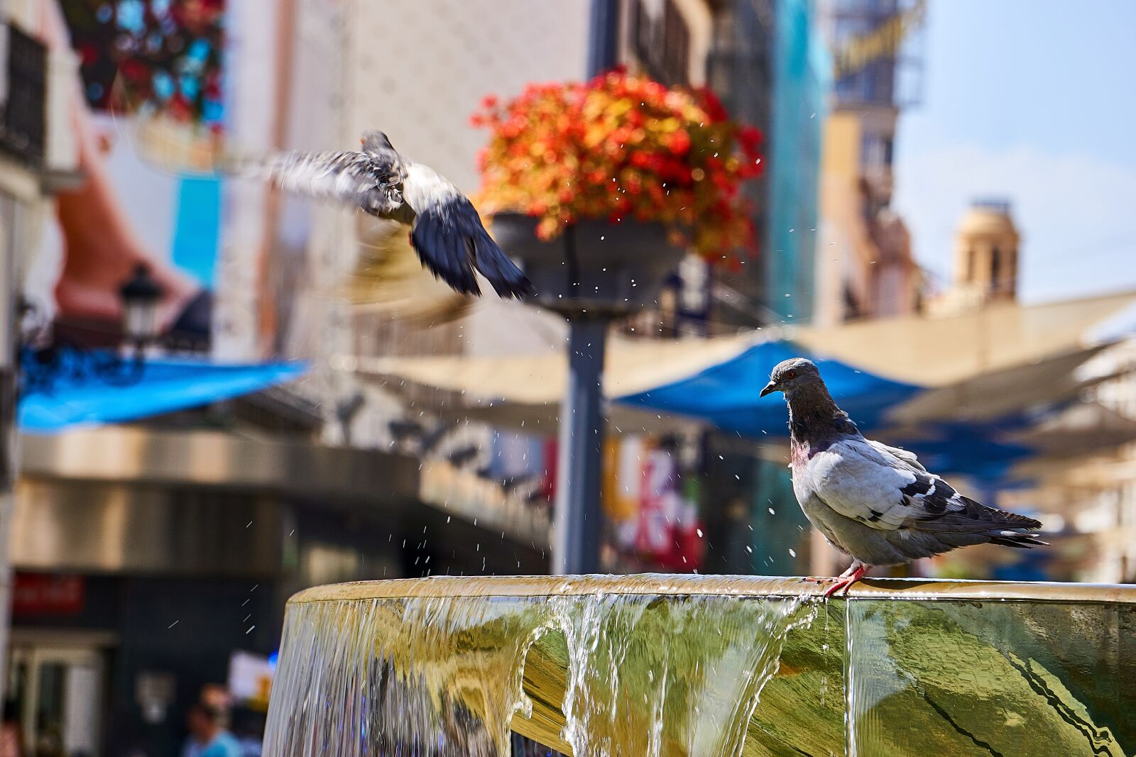 Sony E 55-210mm F4.5-6.3 OSS sample photo. Spain, madrid, fountain photography