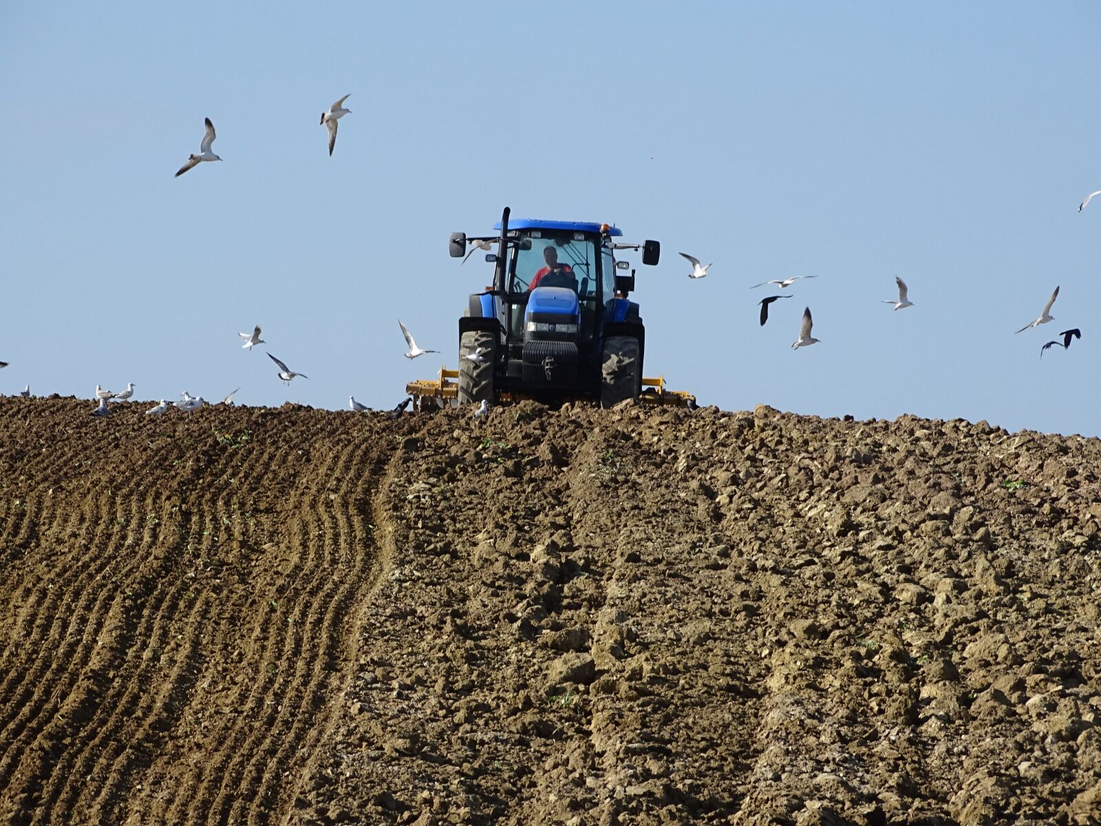 Sony Cyber-shot DSC-HX400V sample photo. Agriculture, tillage, field photography