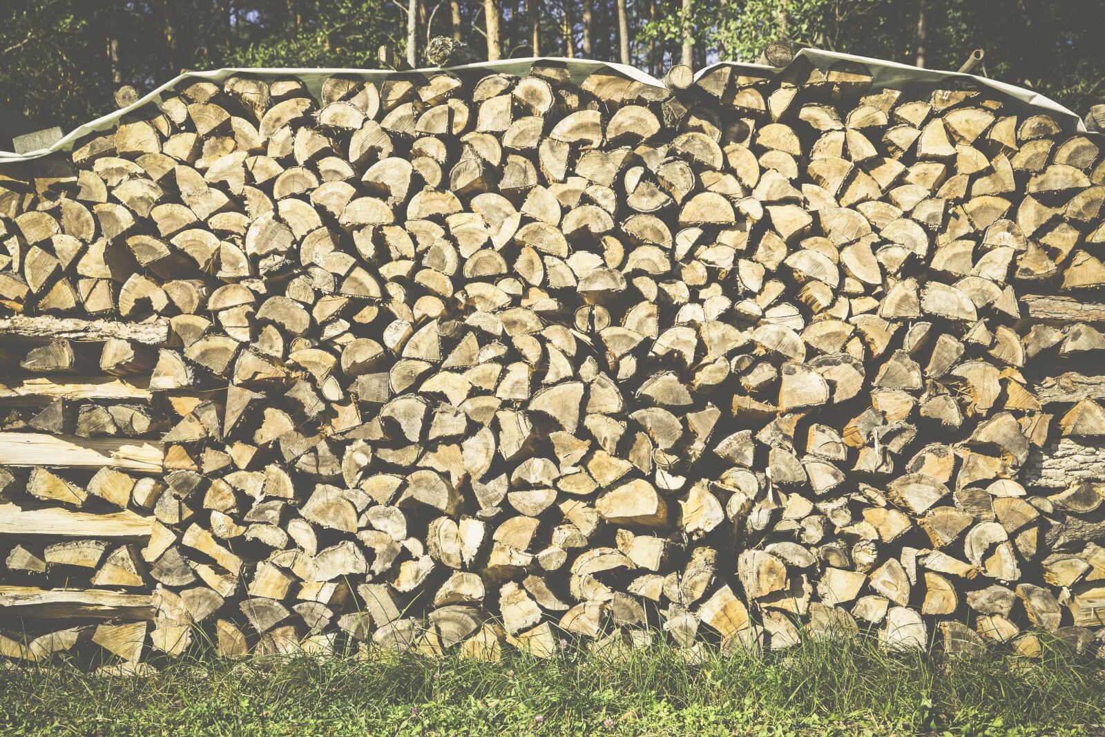 Canon EF 24-70mm F2.8L II USM sample photo. Wood, firewood, stack photography