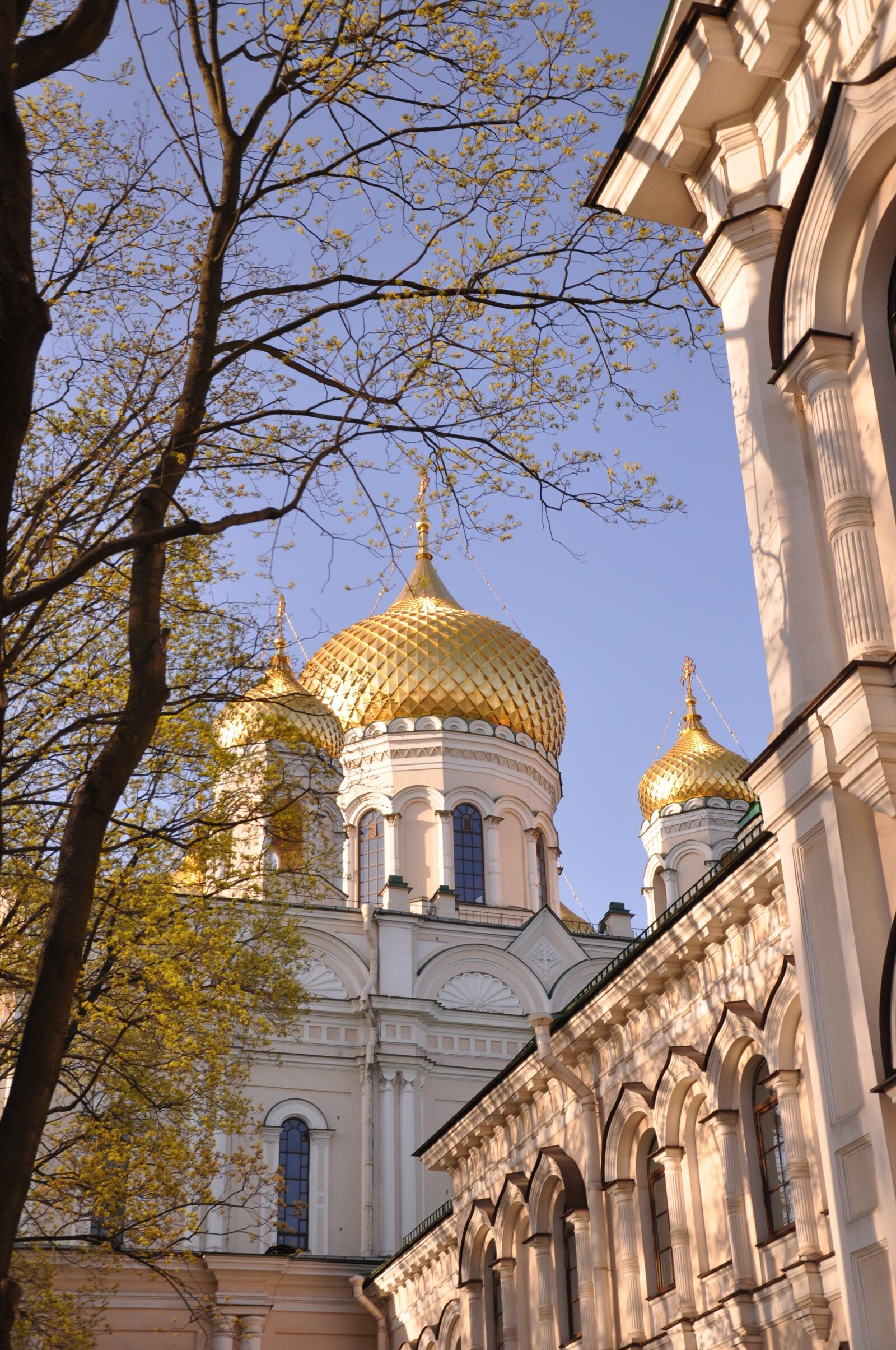 Nikon D90 sample photo. Church, dome, gold photography
