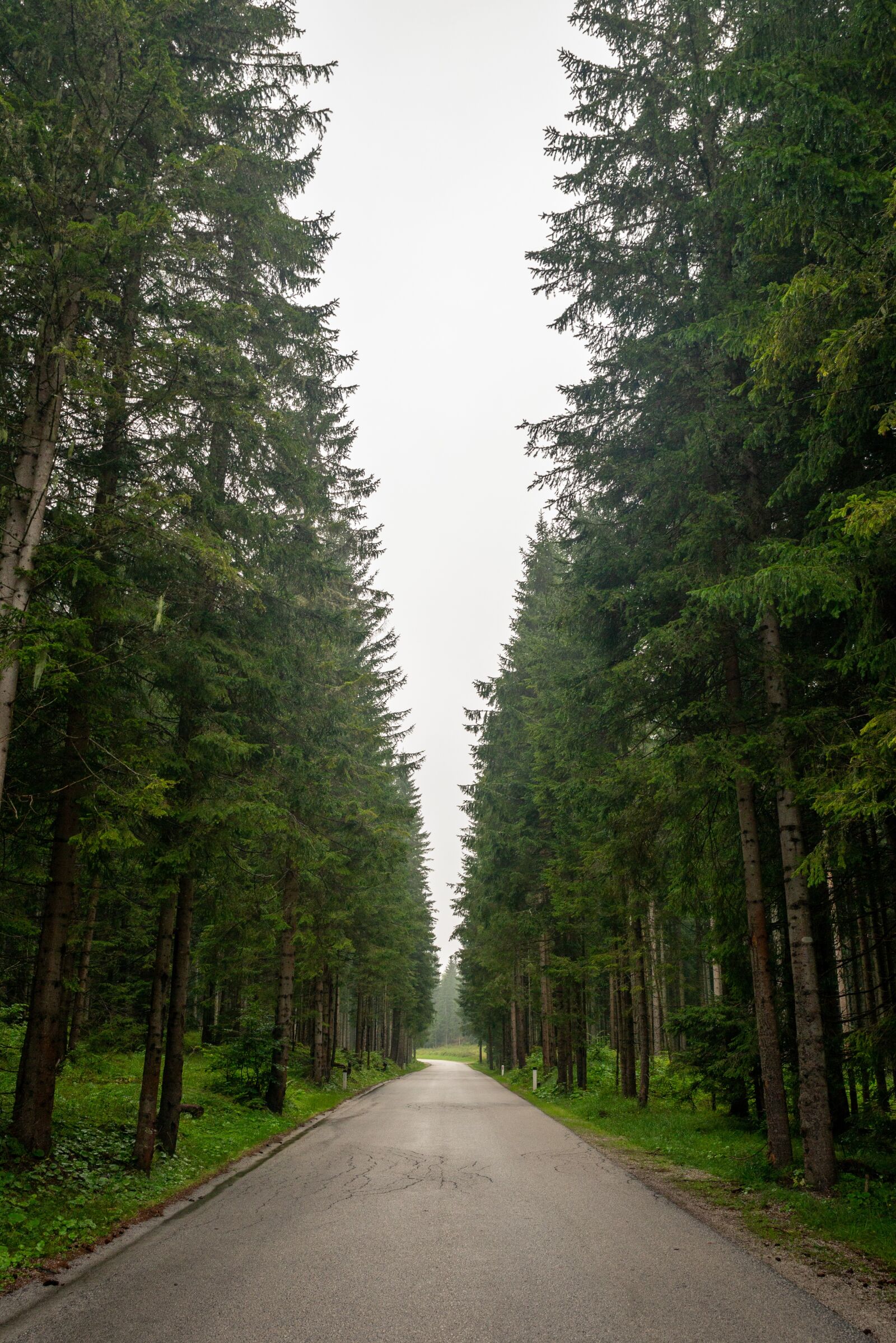 Canon EOS 5D Mark III sample photo. Nature, landscape, outdoors photography