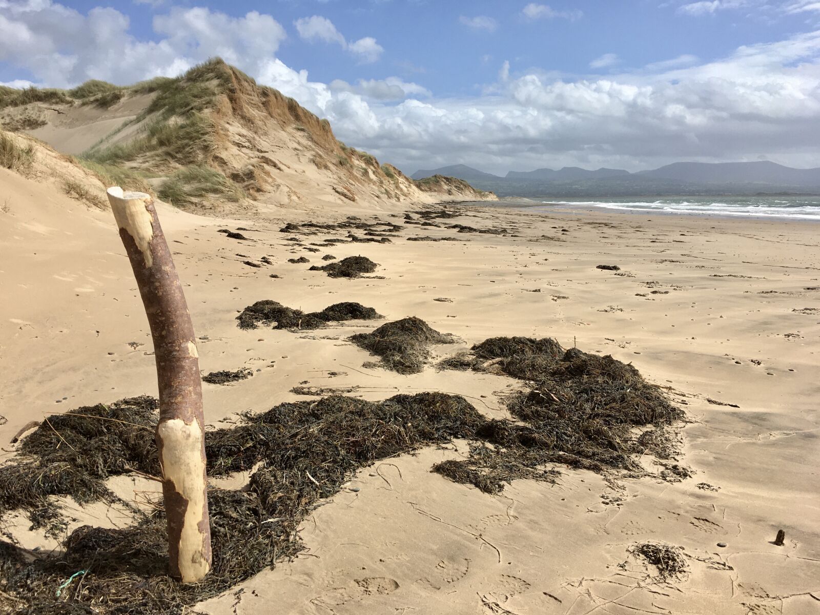 iPhone 6s back camera 4.15mm f/2.2 sample photo. Beach, anglesey, sea photography