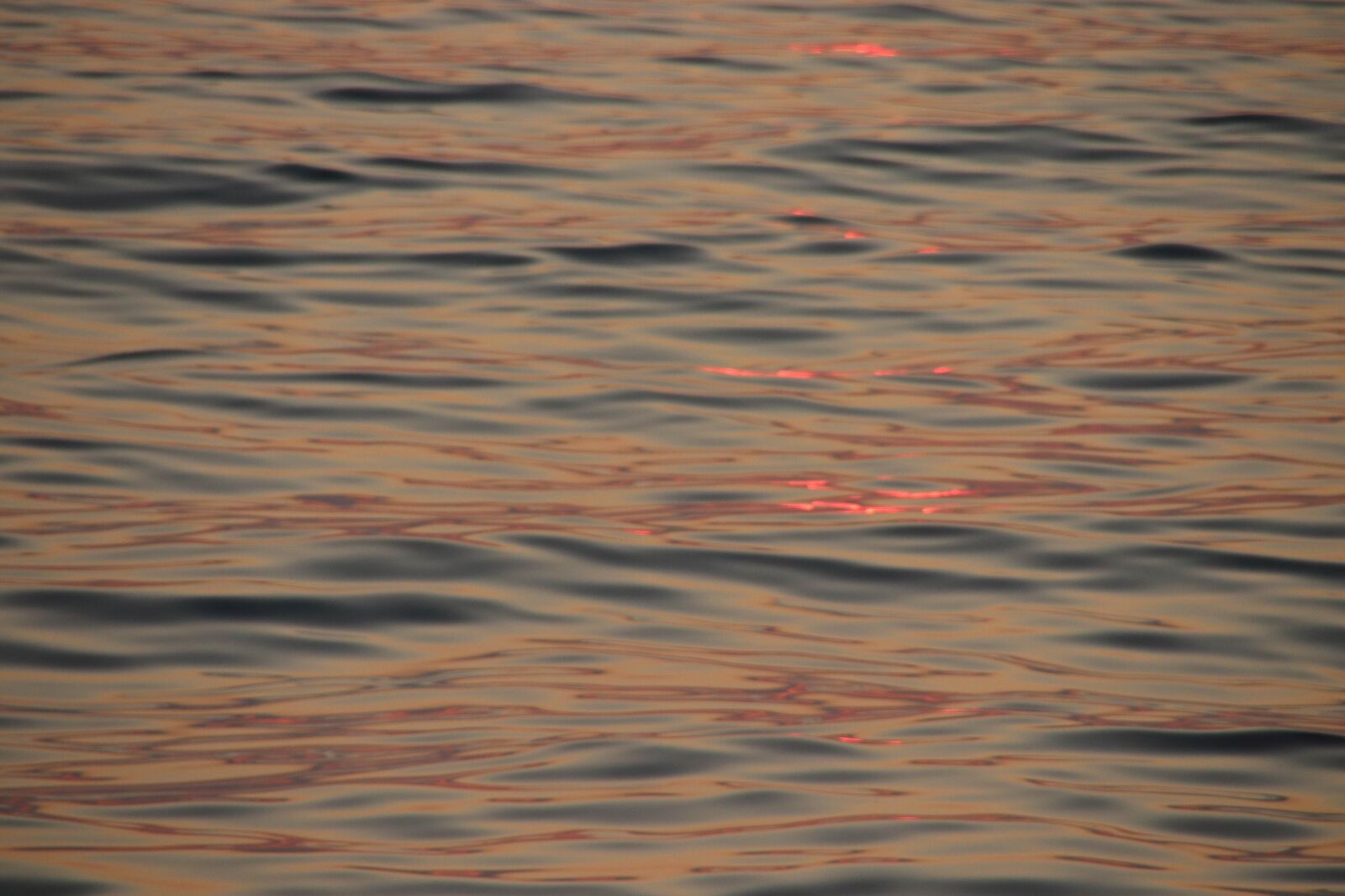 Canon EOS 77D (EOS 9000D / EOS 770D) sample photo. Sea, wave, evening photography