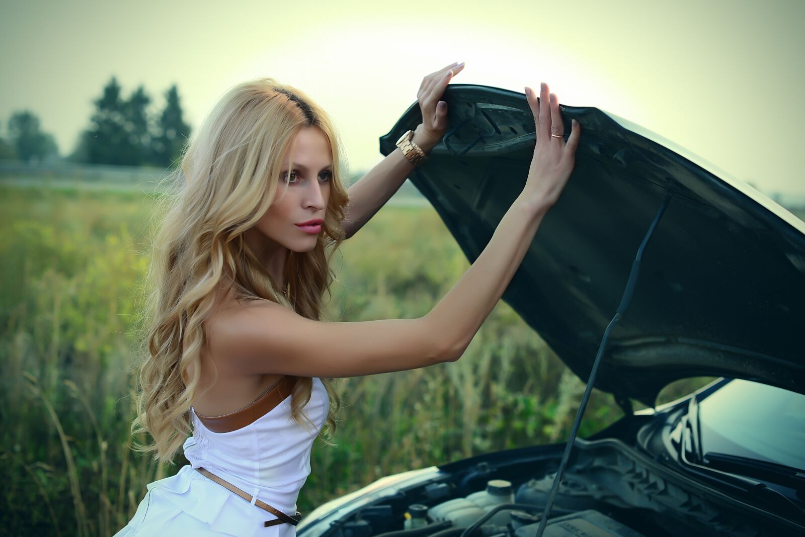 Nikon D800 sample photo. Summer, heat, greens photography