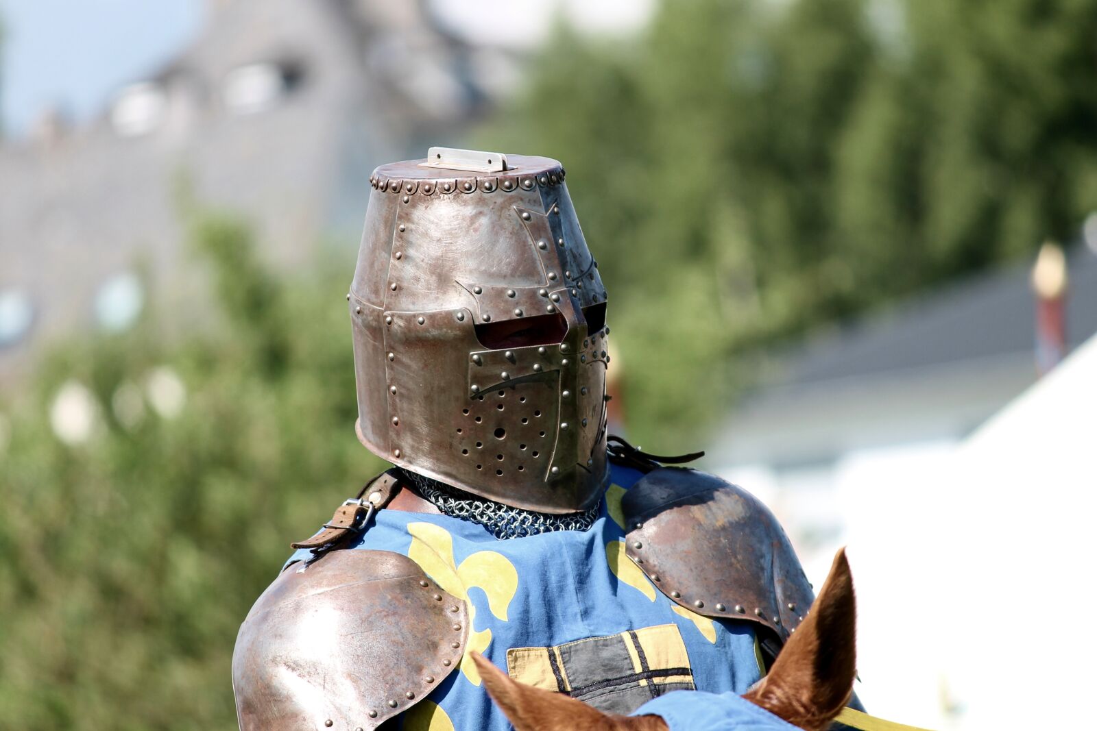 Canon EOS 1100D (EOS Rebel T3 / EOS Kiss X50) + Canon EF-S 55-250mm F4-5.6 IS II sample photo. Knight, armor, helm photography